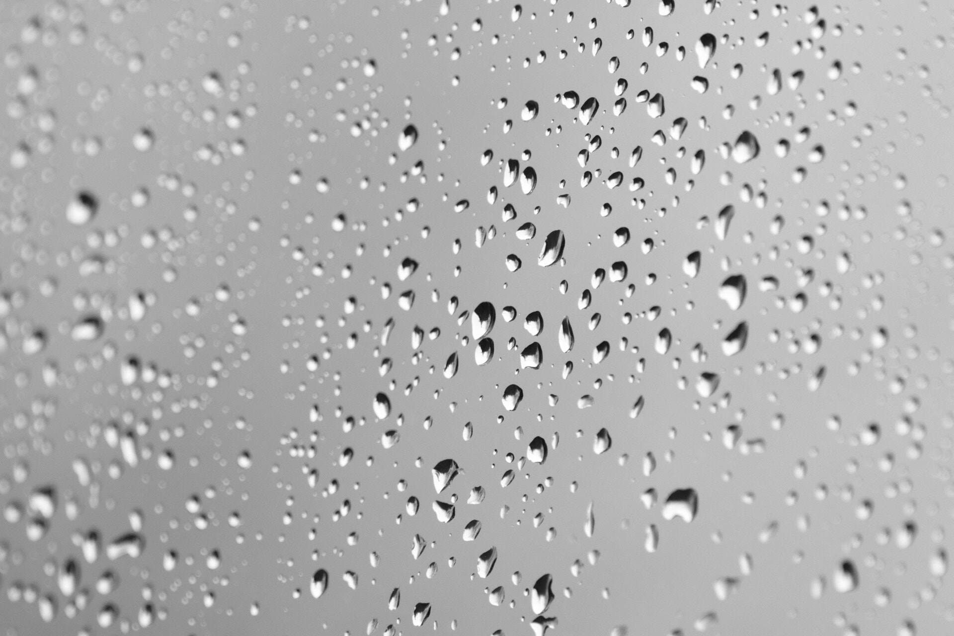 Sigma 150mm f/2.8 EX DG OS HSM APO Macro sample photo