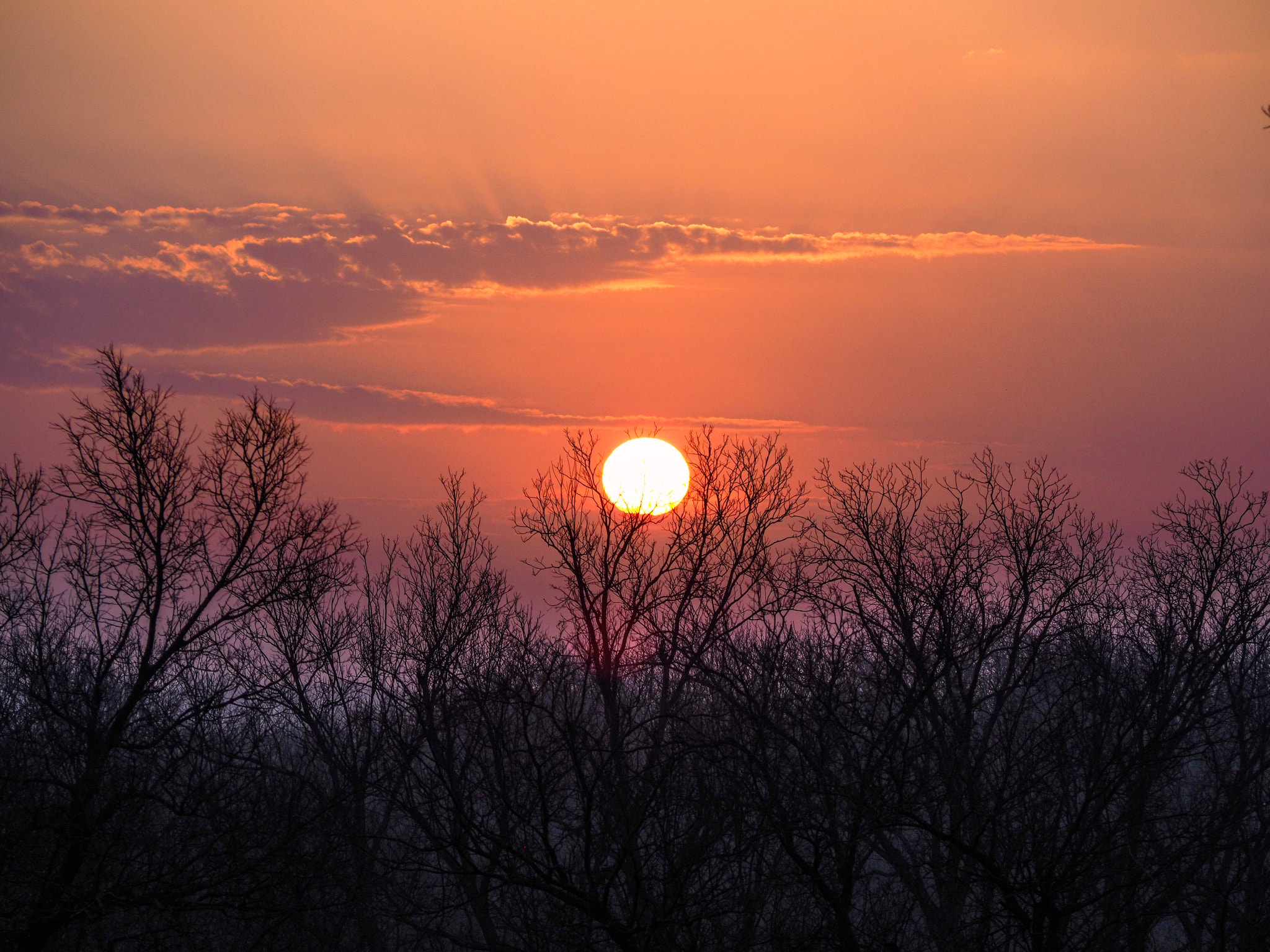 Olympus OM-D E-M10 sample photo. Okie sunrise photography