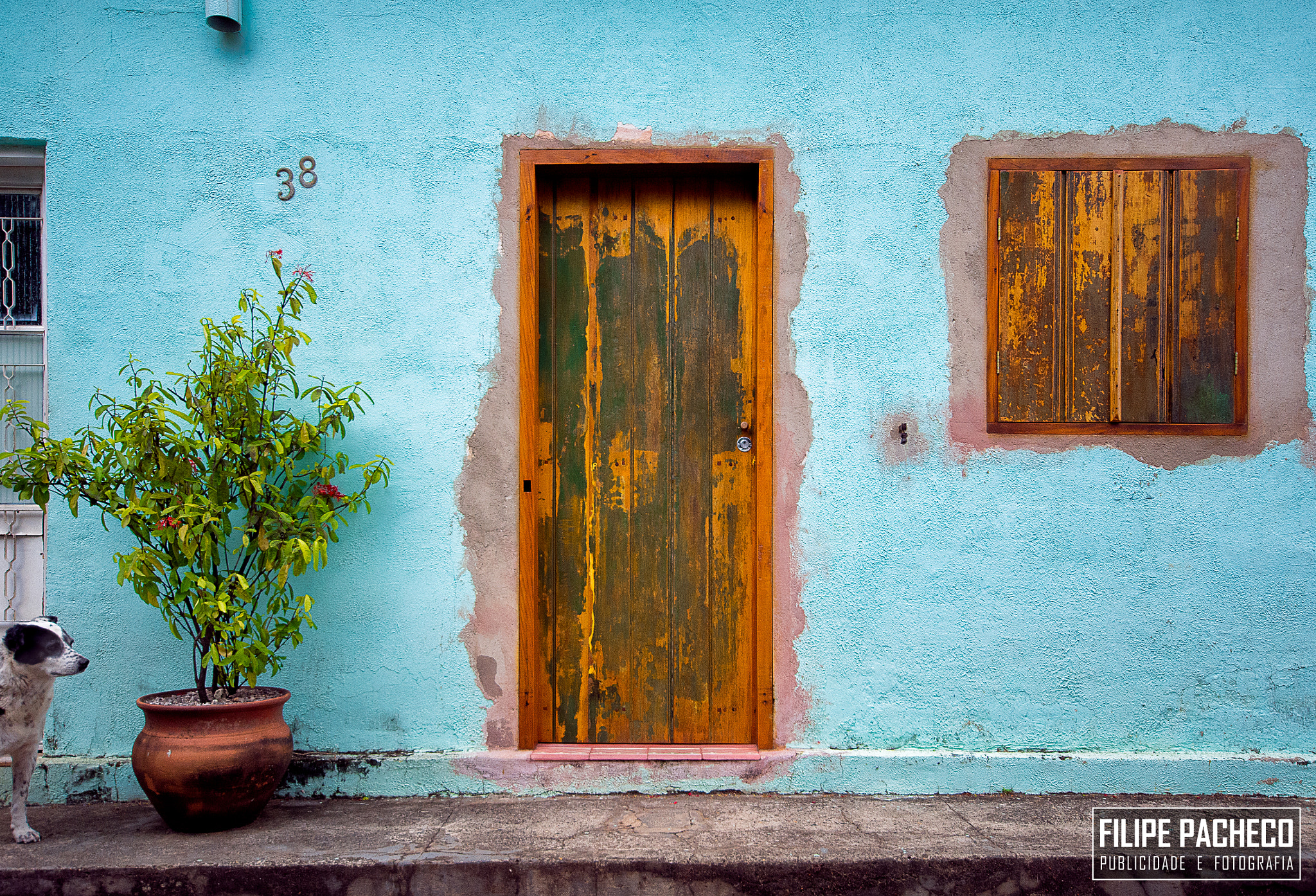 Sigma 10-20mm F4-5.6 EX DC HSM sample photo. Small town house photography