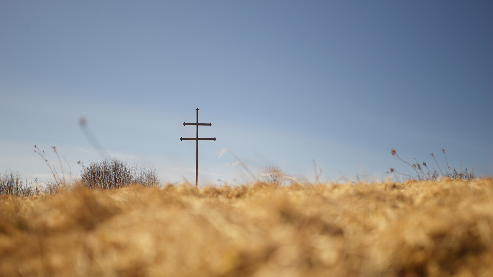 Tamron 18-270mm F3.5-6.3 Di II PZD sample photo. Cross photography