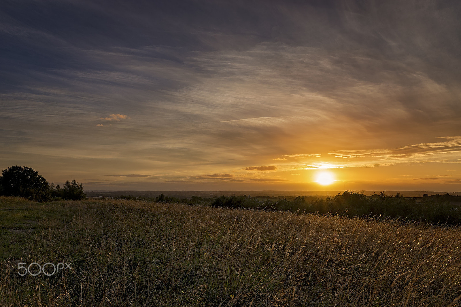 Sony a99 II sample photo. Sunset time photography