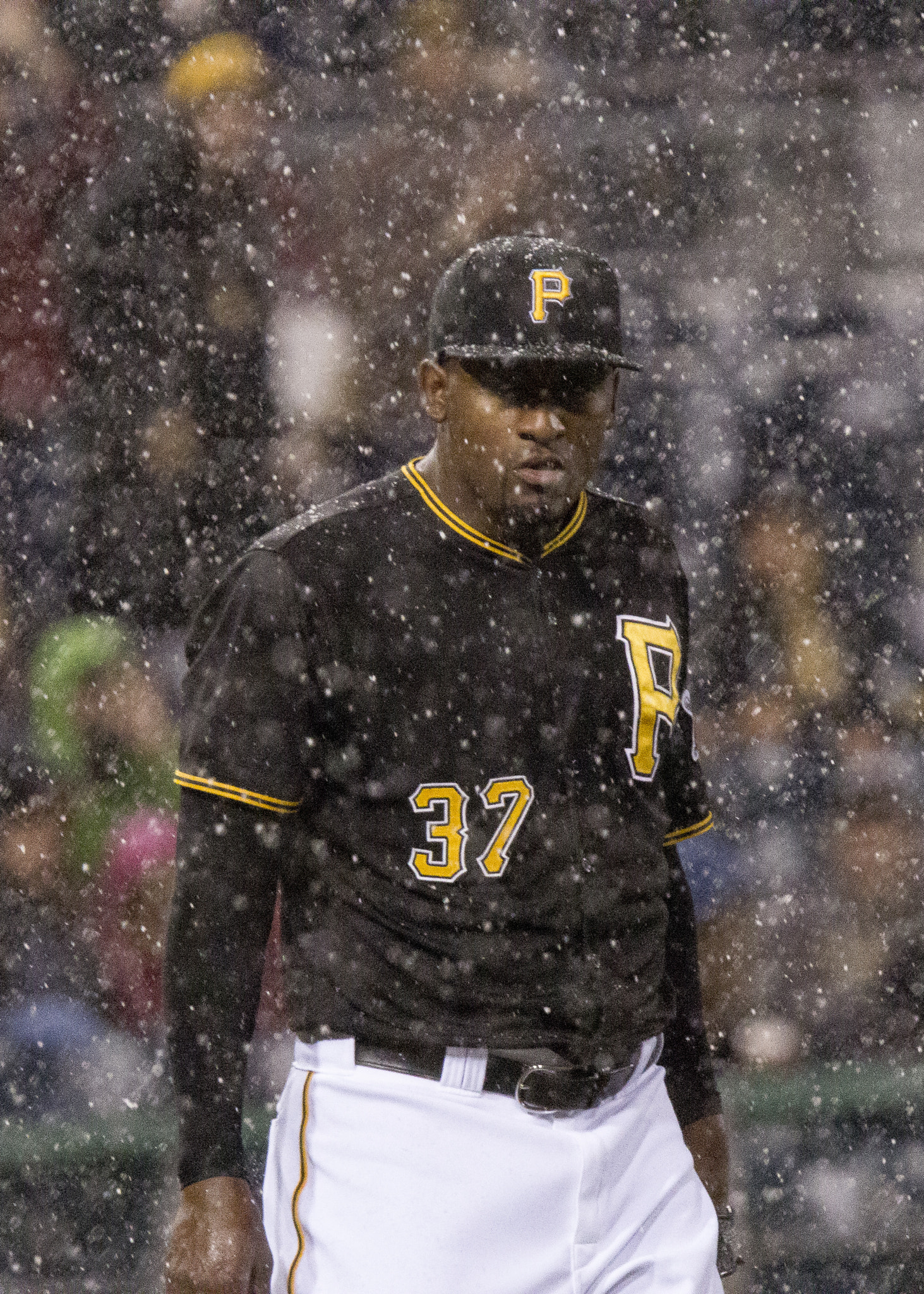 Tamron SP 150-600mm F5-6.3 Di VC USD sample photo. Pirates vs tigers photography