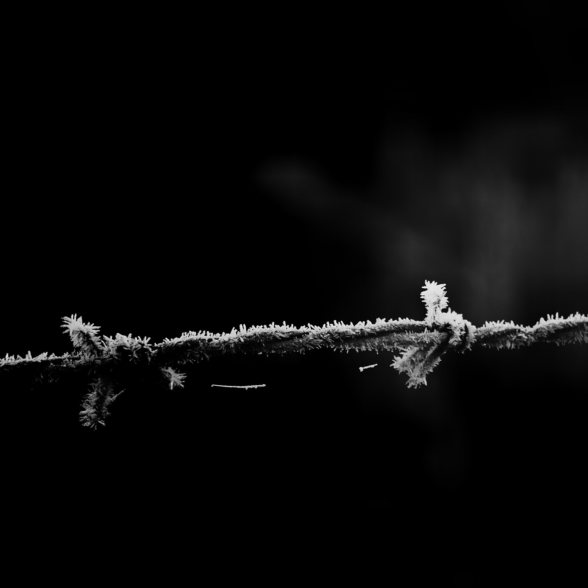 Canon EF-S 55-250mm F4-5.6 IS sample photo. Icy fence photography