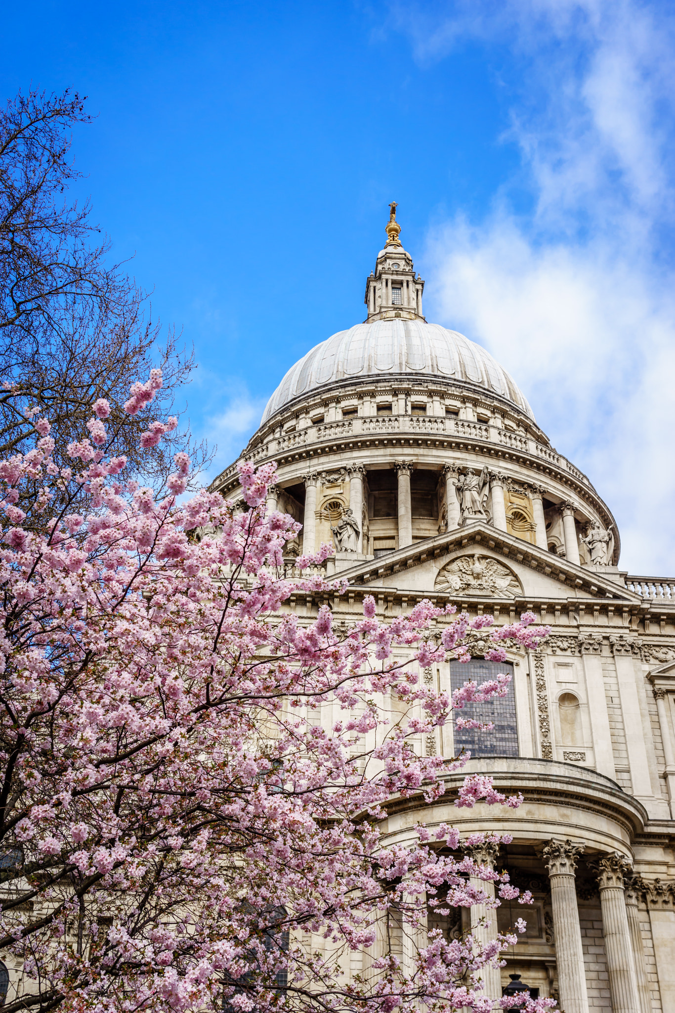 Sony a7 II sample photo. Sakura in london photography