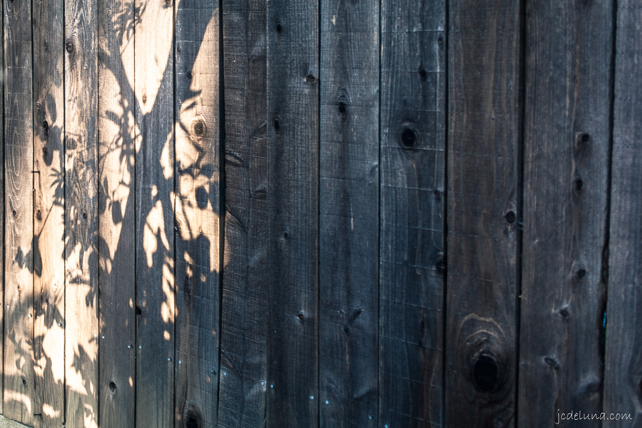 Canon EOS 5D Mark II sample photo. Sunrise | fence photography