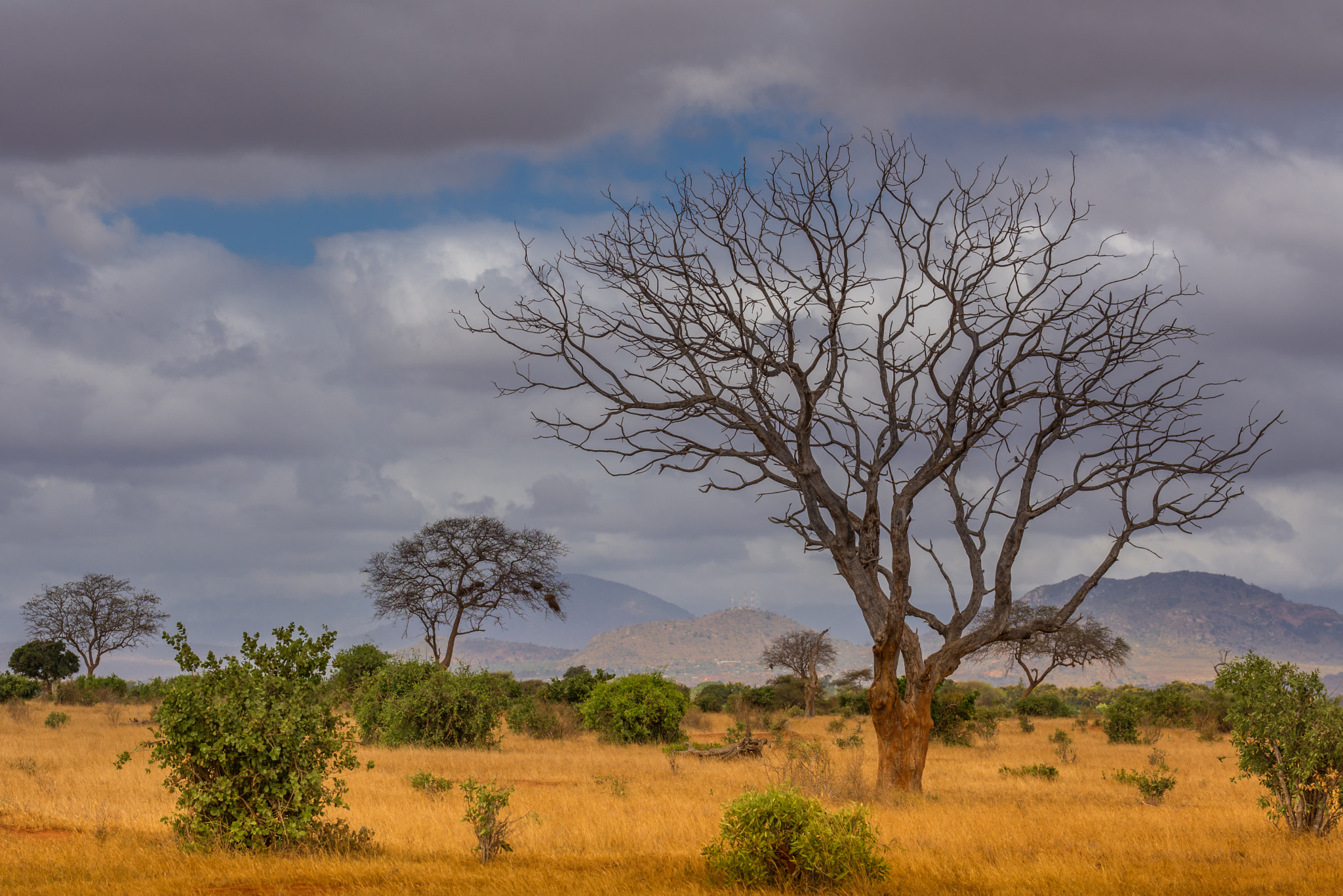 Nikon D7100 + Tamron SP 70-200mm F2.8 Di VC USD sample photo. On tour in tsavo east kenya viii photography