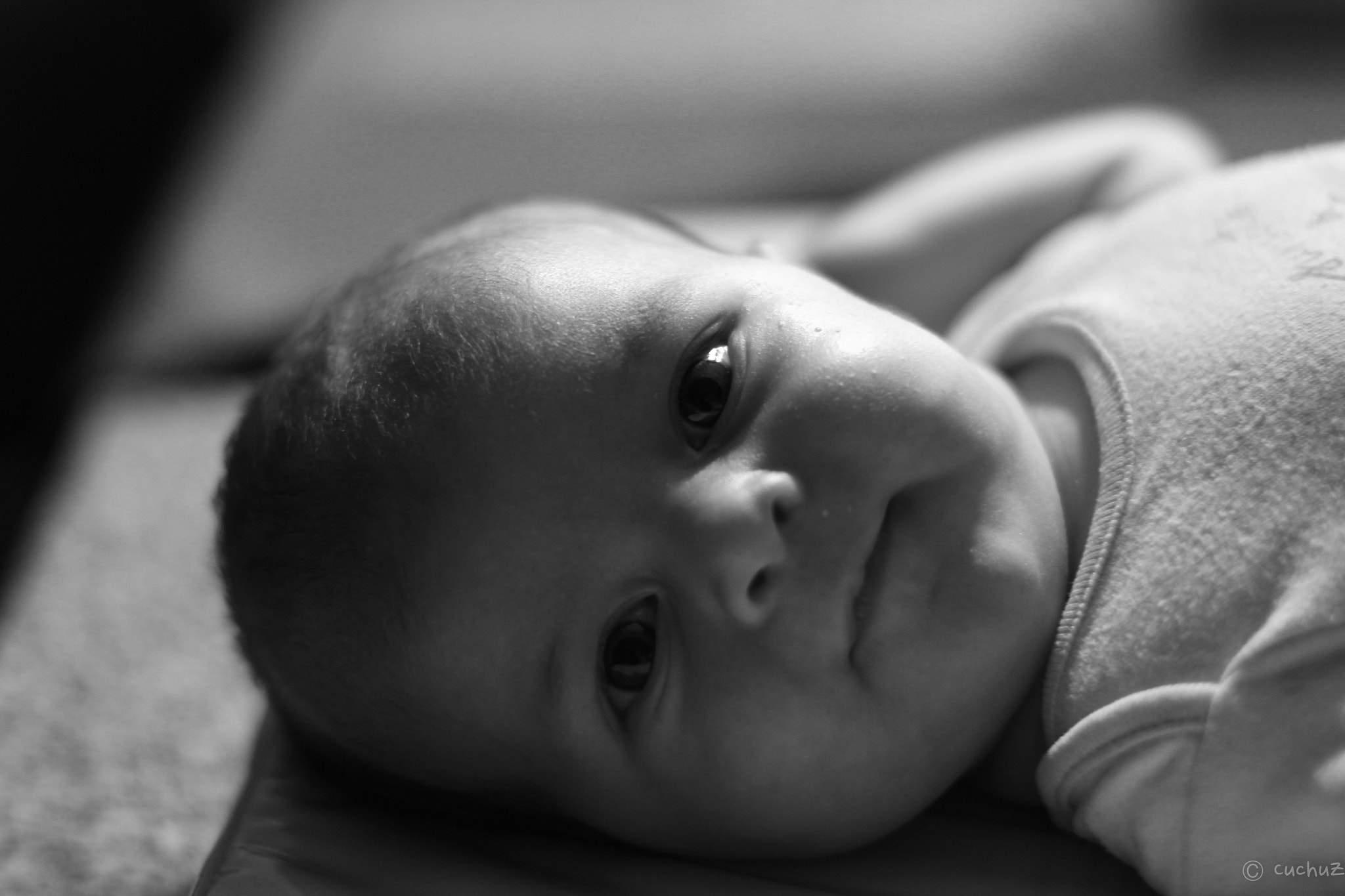 Canon EF 50mm F1.4 USM sample photo. Lucio byn photography