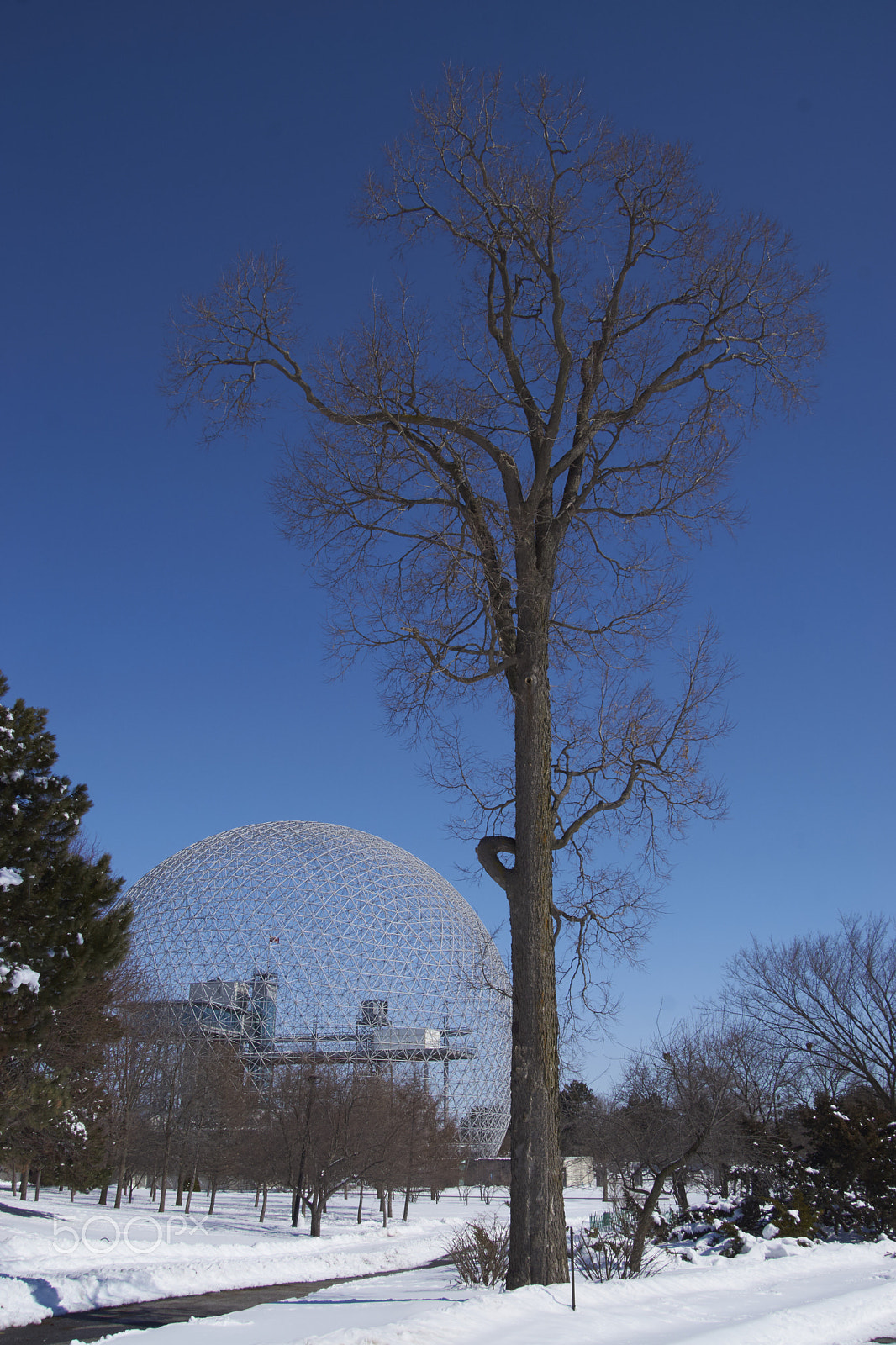 Sony SLT-A65 (SLT-A65V) + DT 18-270mm F3.5-6.3 SSM sample photo. Ile st hélène - #montreal photography