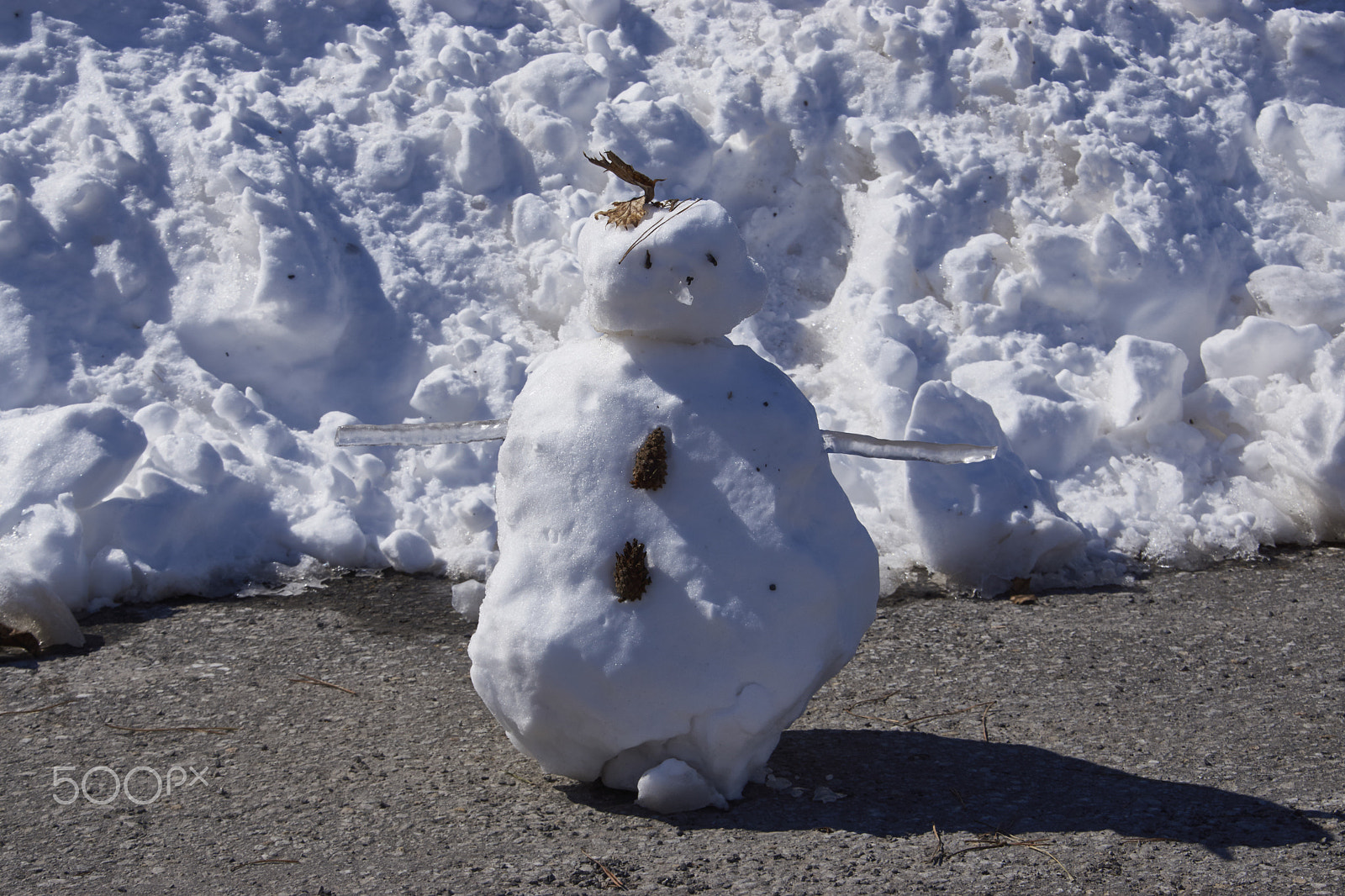 DT 18-270mm F3.5-6.3 SSM sample photo. Snowman - bonhomme de neige photography