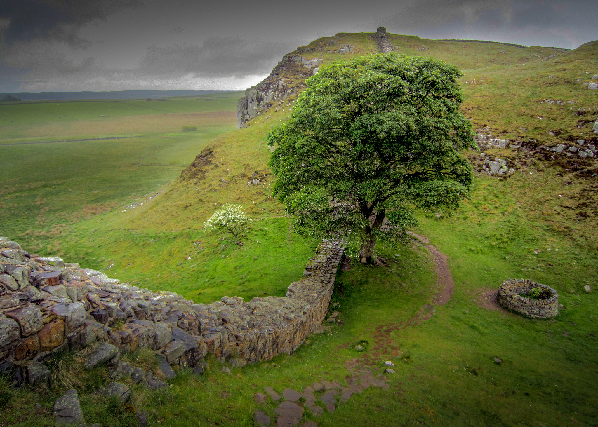 Canon PowerShot SD3500 IS (IXUS 210 / IXY 10S) sample photo. Sycamore gap photography