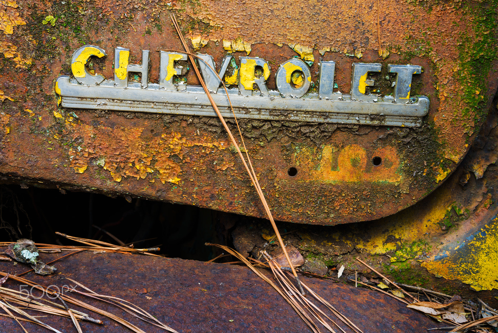 Nikon D810 sample photo. Resting rusting photography