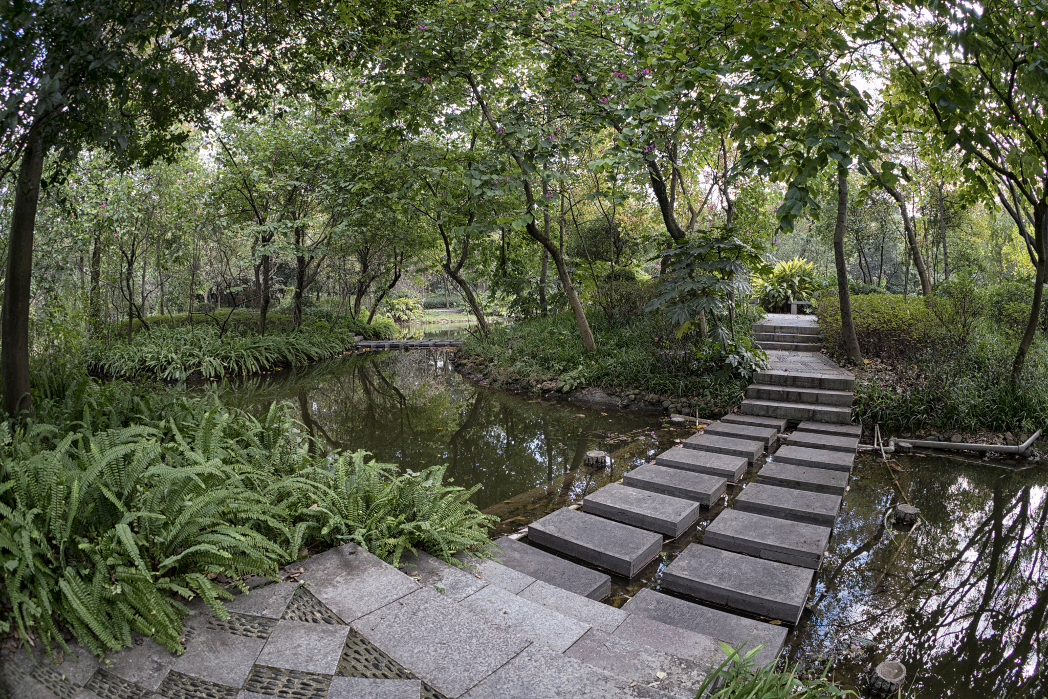 Sony FE 28mm F2 sample photo. Zizhou park scene photography