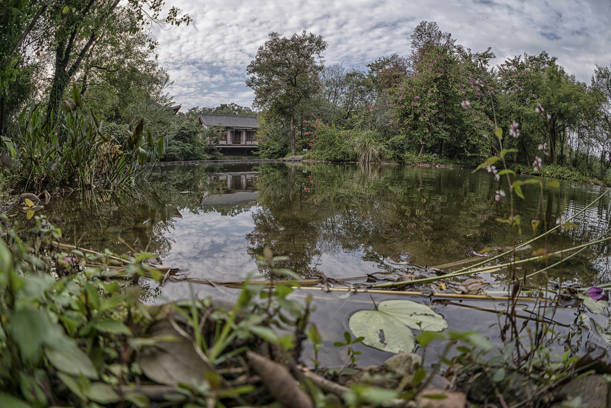 Sony FE 28mm F2 sample photo. Zizhou park photography