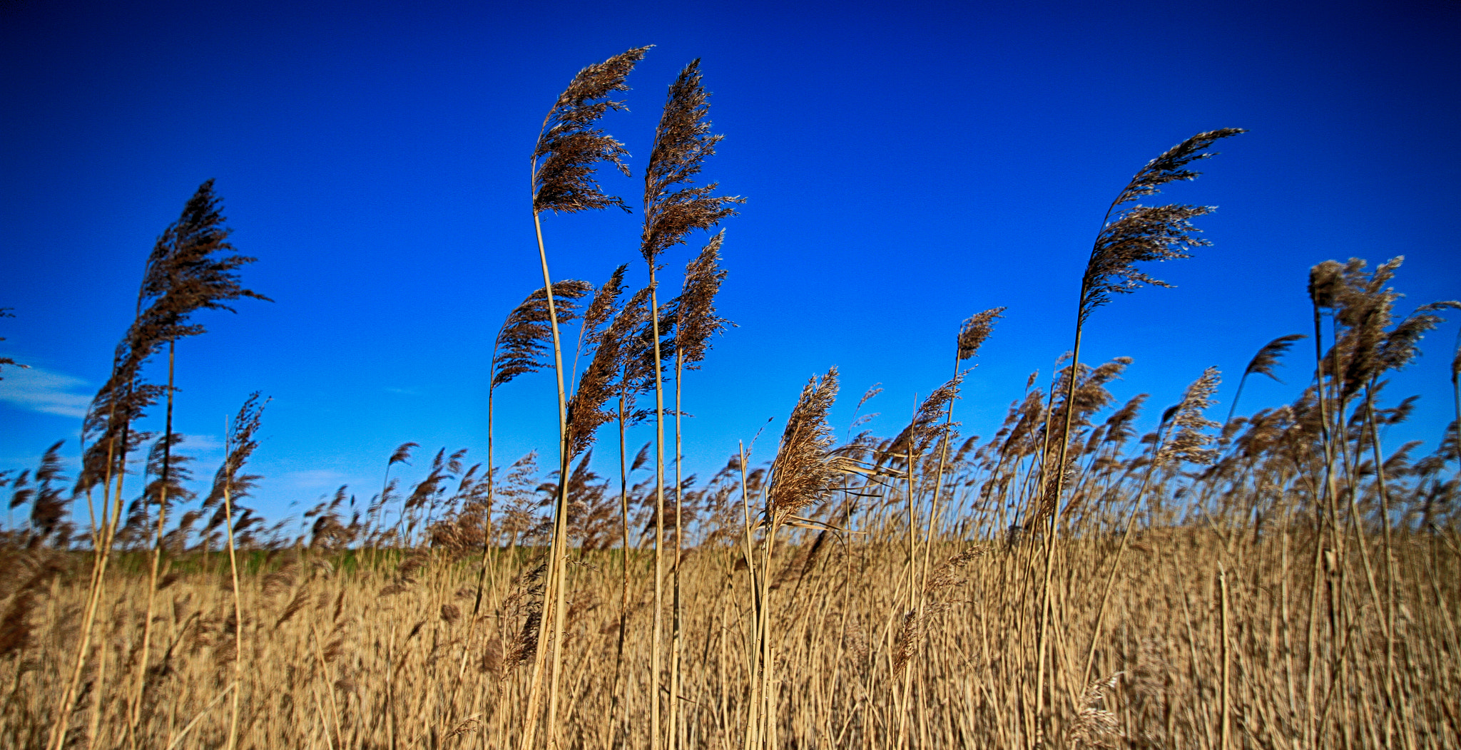 Sigma 10-20mm F3.5 EX DC HSM sample photo. 8.jpg photography