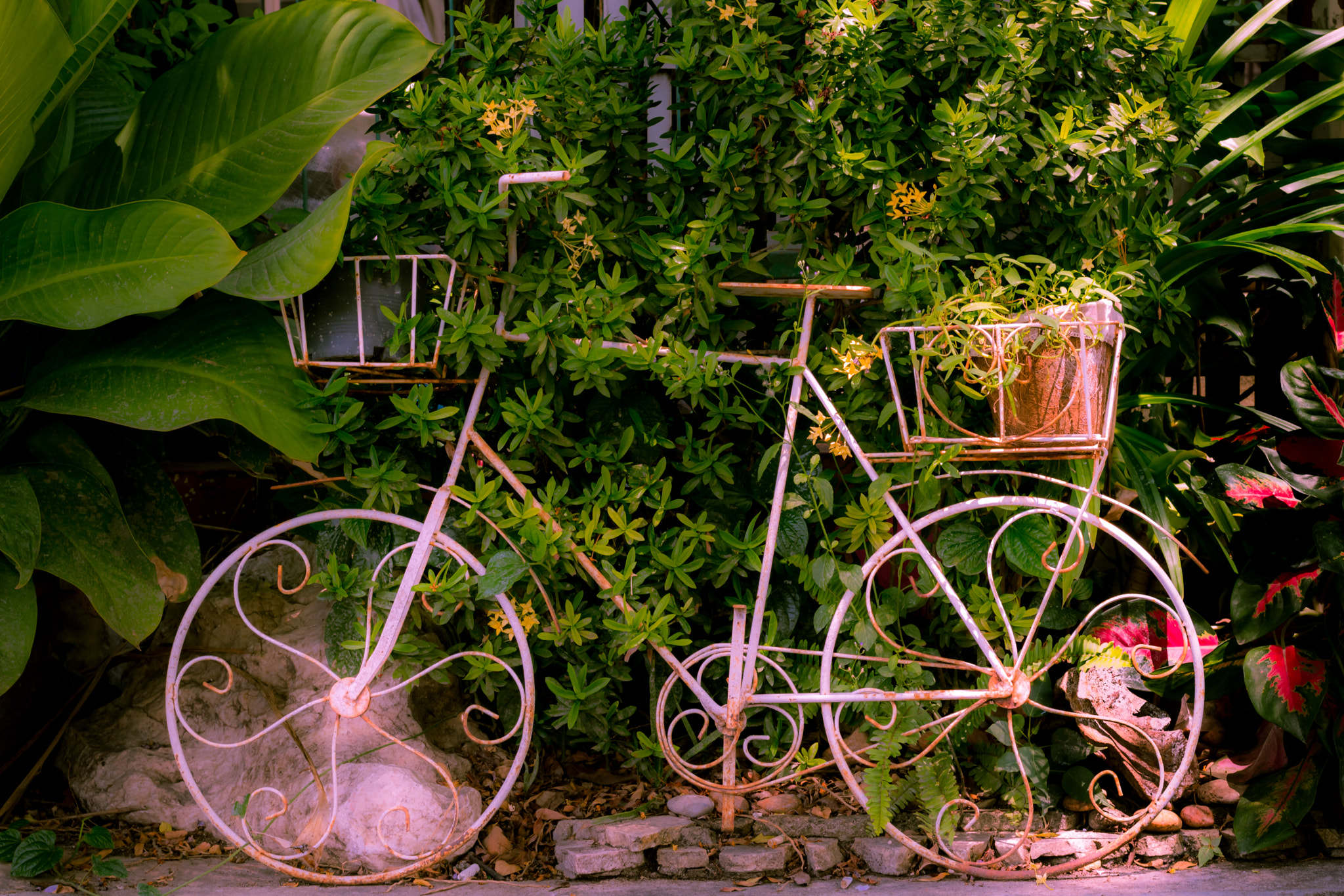 Nikon D5500 + Nikon AF-S Nikkor 50mm F1.8G sample photo. Steel bicycle for garden decoration photography