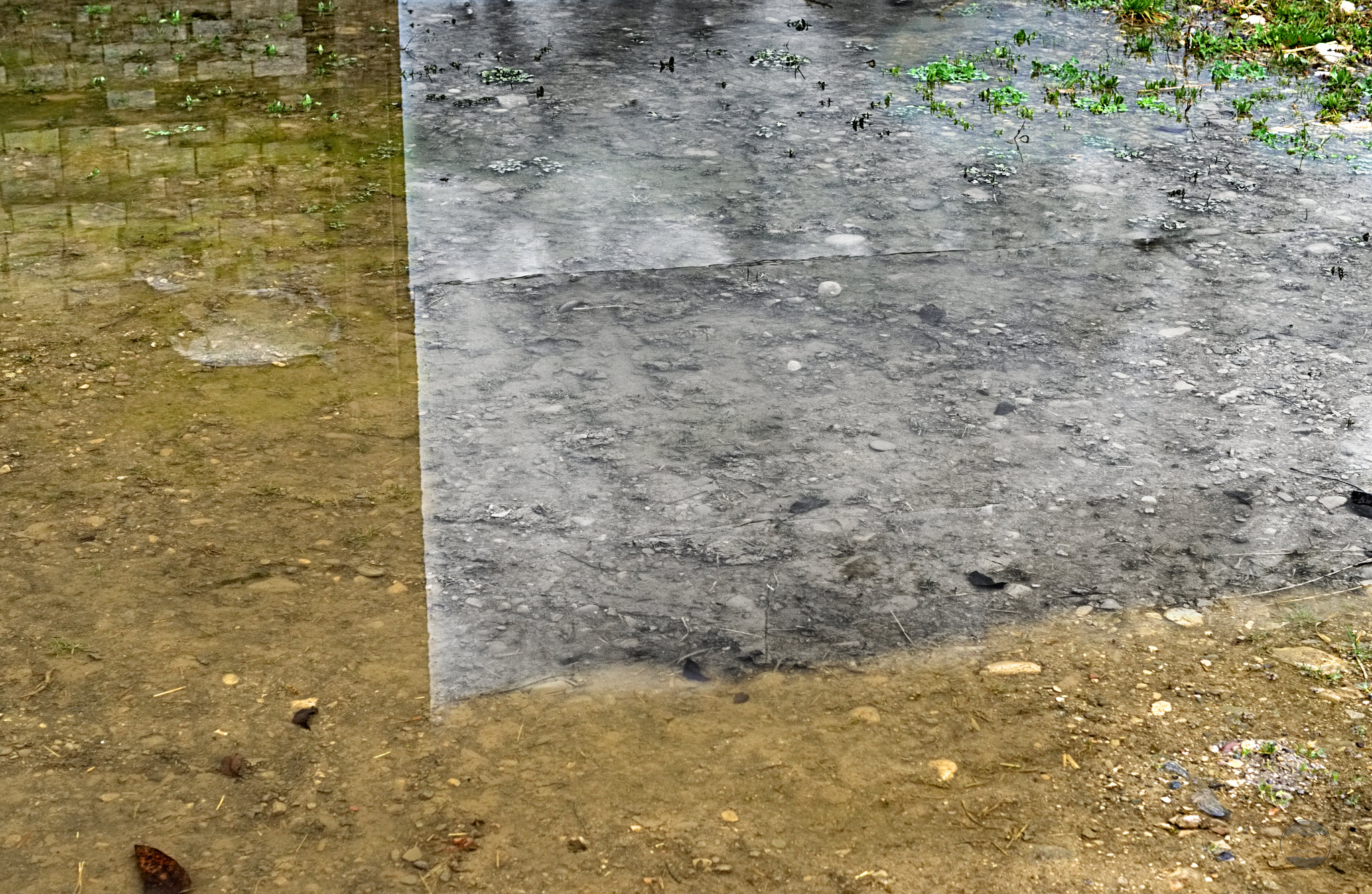 Sony ILCA-77M2 + Sony DT 35mm F1.8 SAM sample photo. Puddle photography