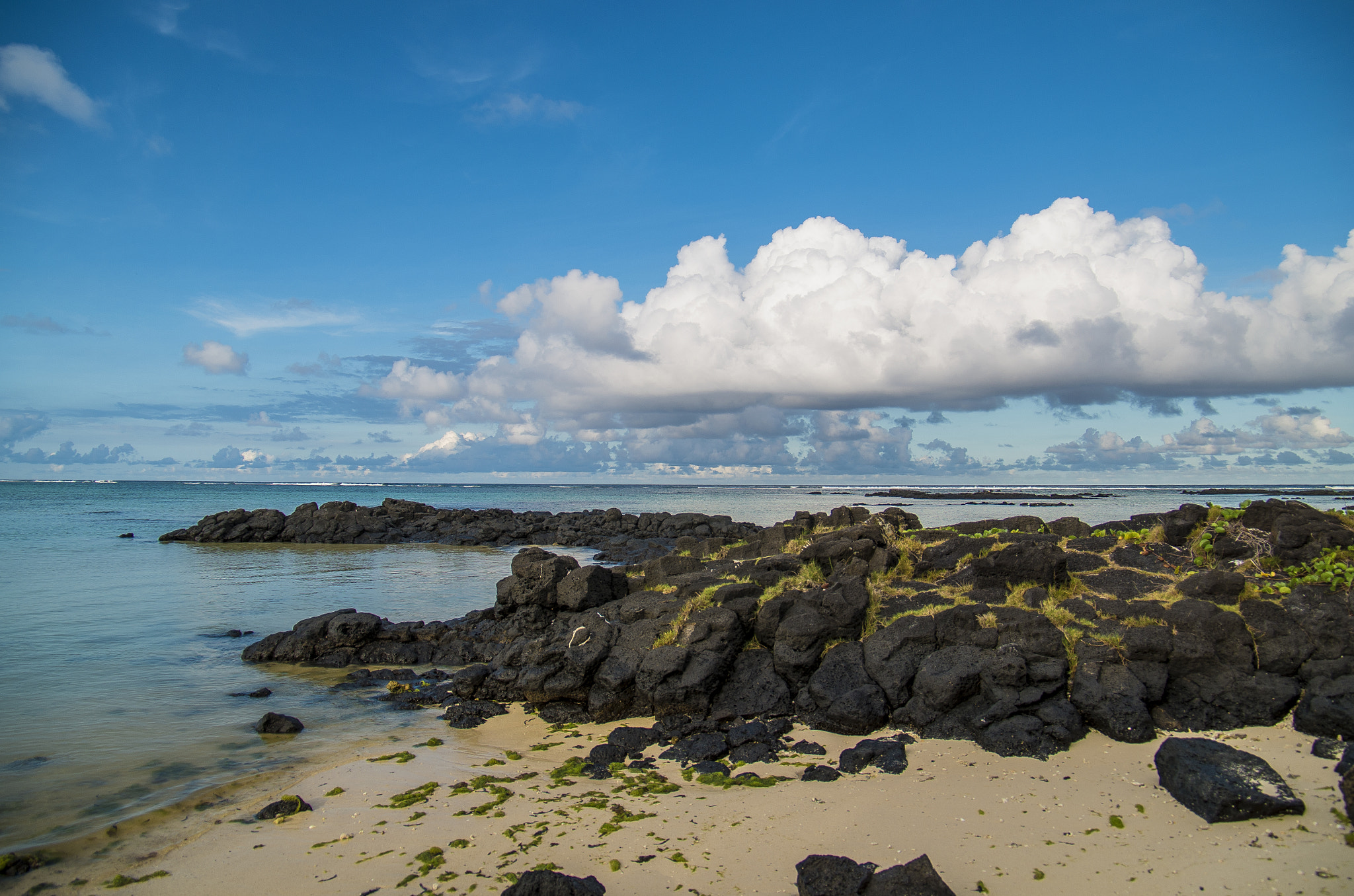 Pentax smc DA* 16-50mm F2.8 ED AL (IF) SDM sample photo. Mru/palmar photography