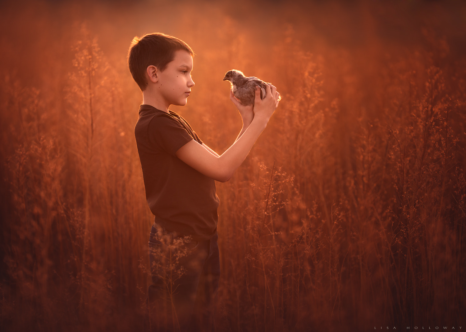 Canon EF 200mm F2L IS USM sample photo. Inspecting the livestock photography