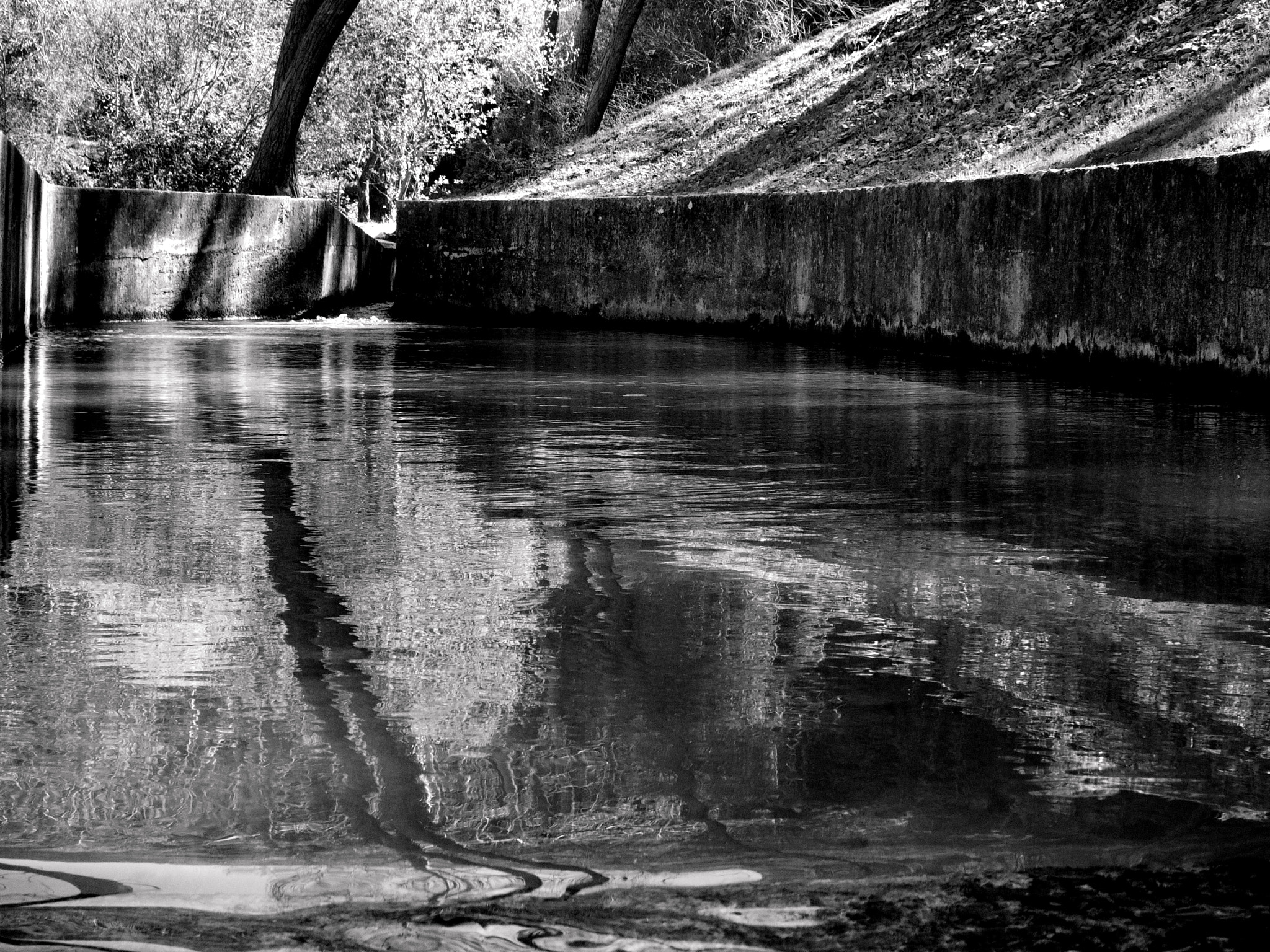 Pentax Q-S1 sample photo. Reflejos en el estanque... photography