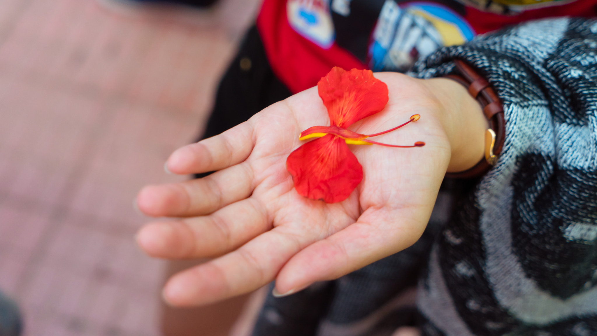Sony a7 + Sony Vario Tessar T* FE 24-70mm F4 ZA OSS sample photo. Dsc photography