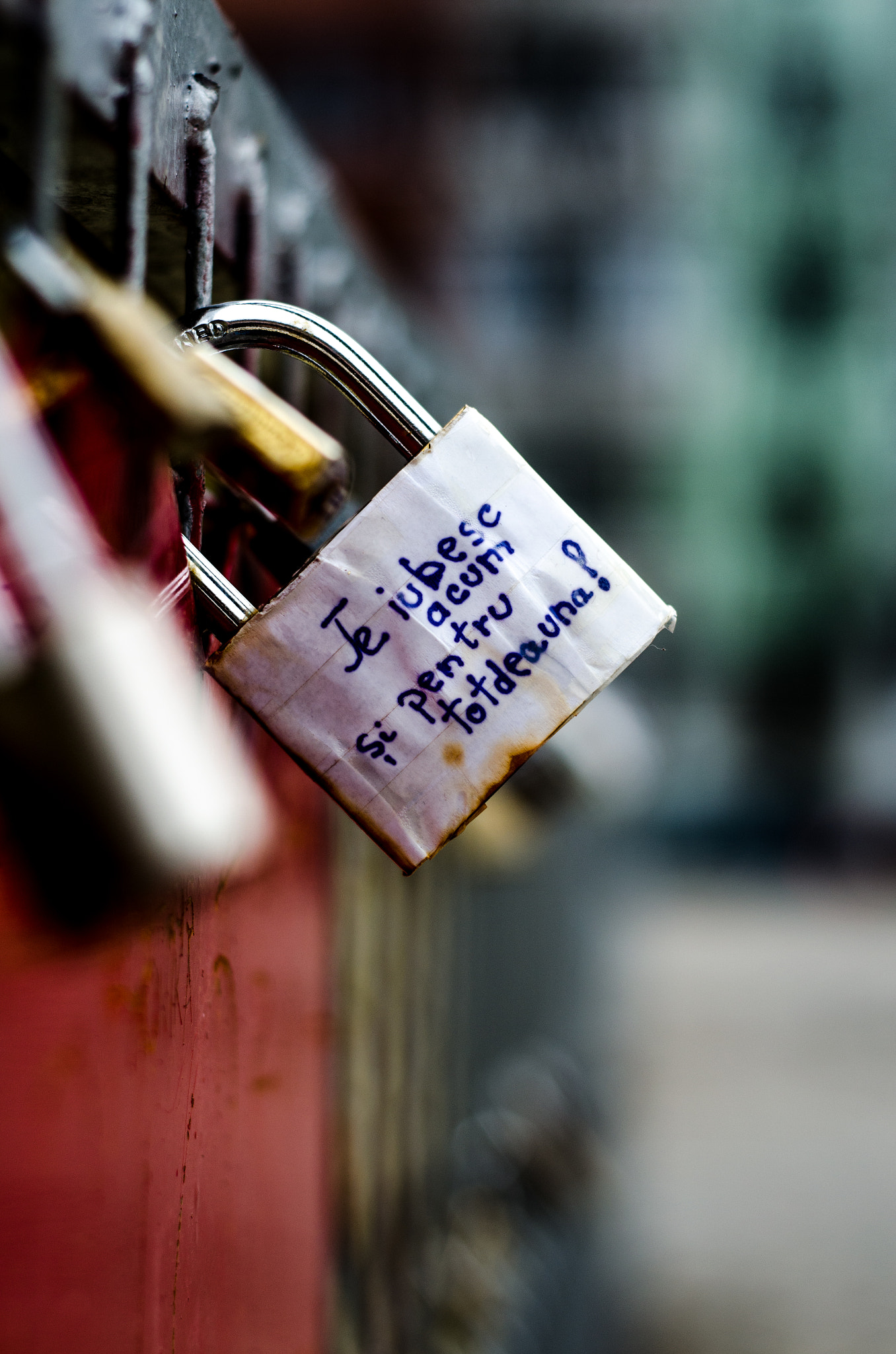 Nikon D5100 + Nikon AF Nikkor 50mm F1.8D sample photo. I love you now and forever photography