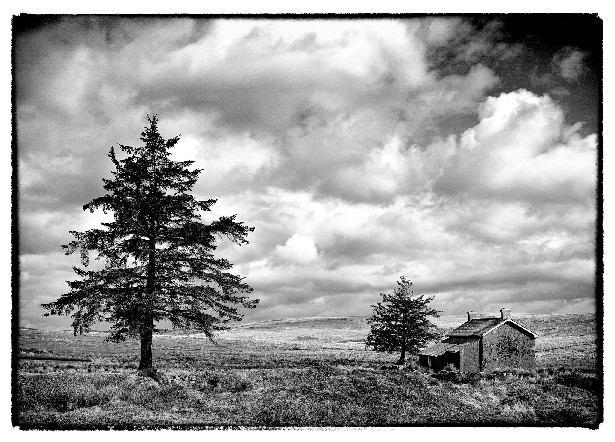 Nikon D810 sample photo. "the present shelter" photography