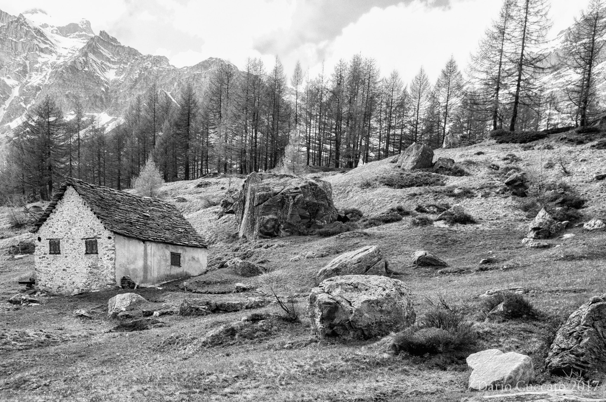 Nikon D300 sample photo. The pleasure of monochrome photography