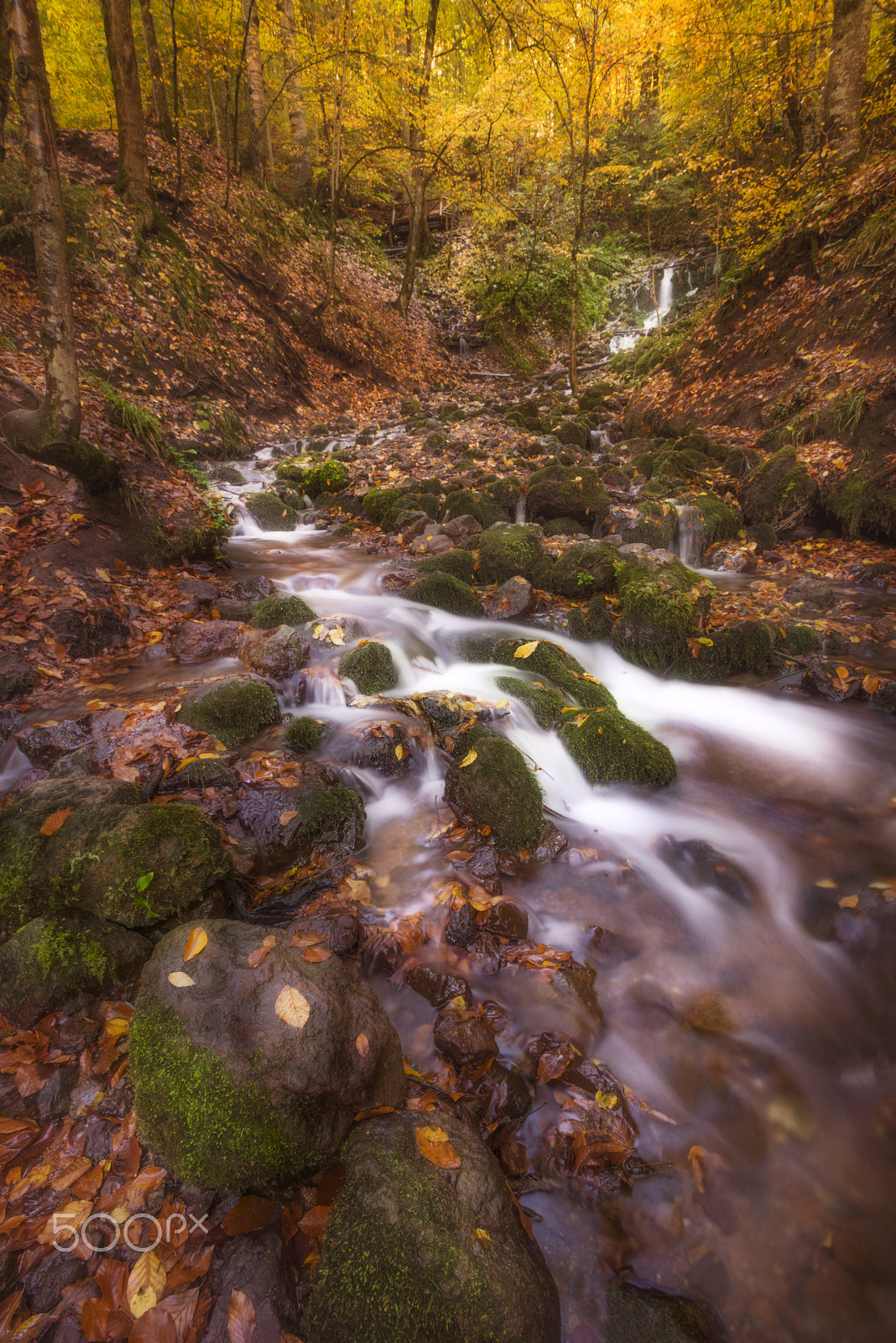 Nikon D800E + Nikon AF-S Nikkor 17-35mm F2.8D ED-IF sample photo. Just feel it photography