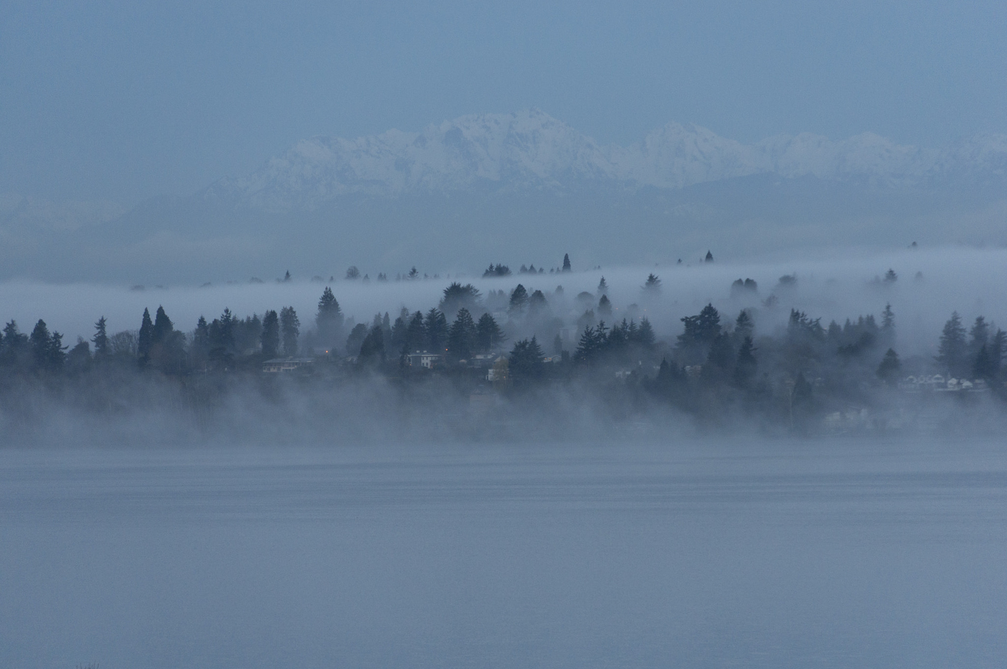 Sony Alpha NEX-6 sample photo. Morning fog photography