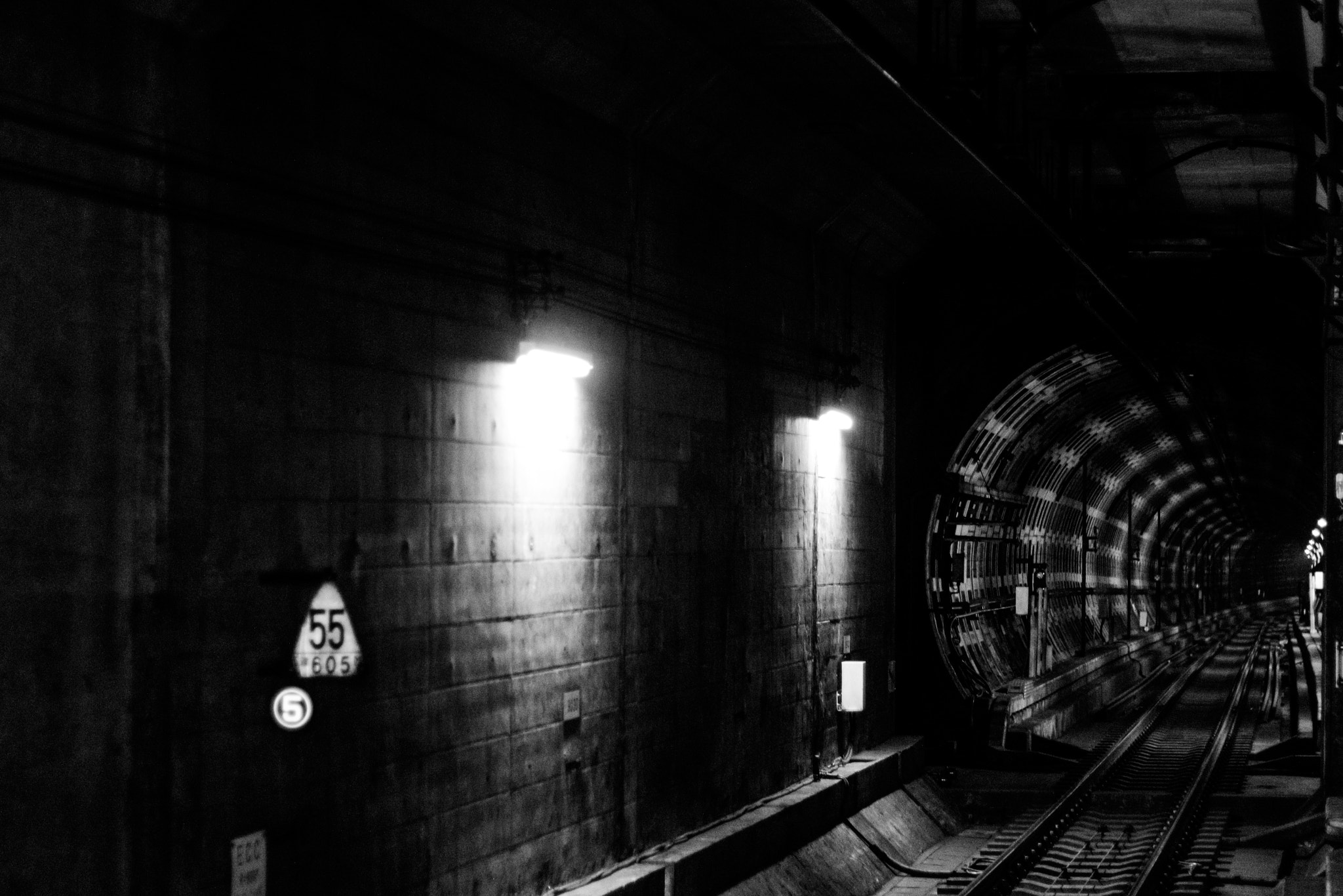 Canon EOS 100D (EOS Rebel SL1 / EOS Kiss X7) sample photo. Tokyo tube photography