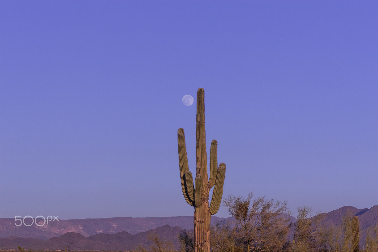 Canon EOS 30D + Canon EF 75-300mm F4.0-5.6 IS USM sample photo. Desert moonrise photography