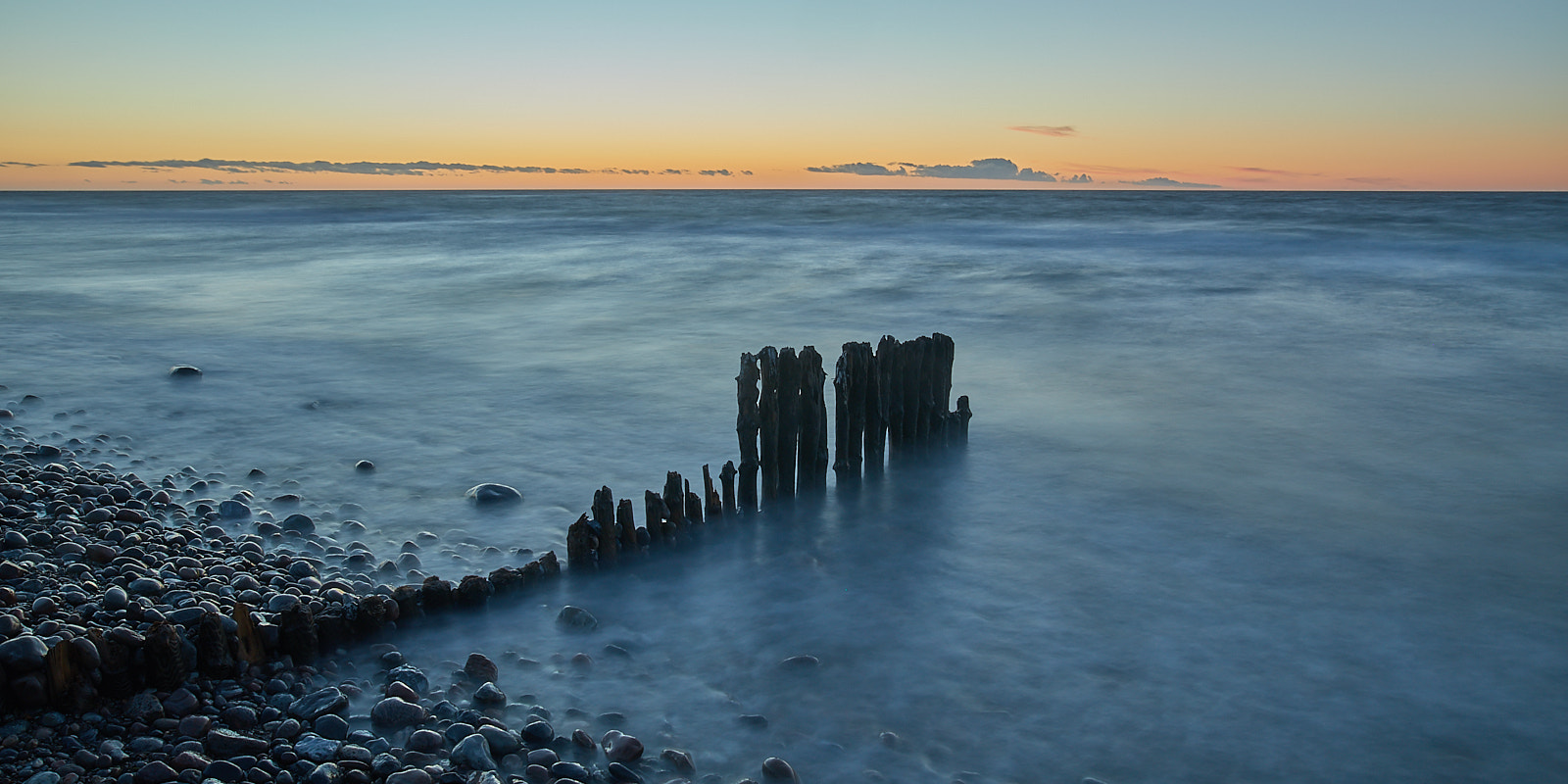 Sigma 24mm F1.4 DG HSM Art sample photo. Stumps #3 photography