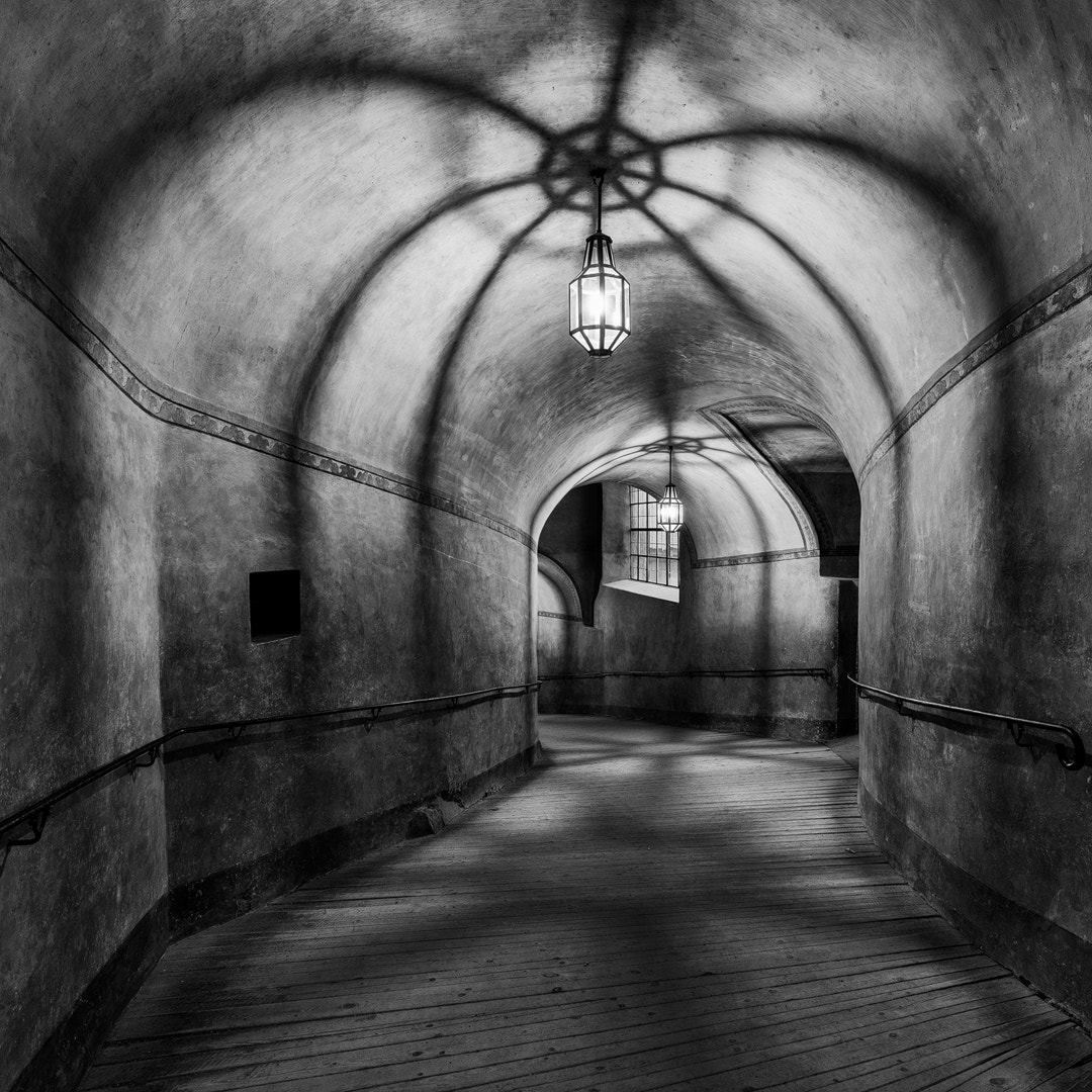 Canon EF 16-35mm F4L IS USM sample photo. Spider on the wall photography