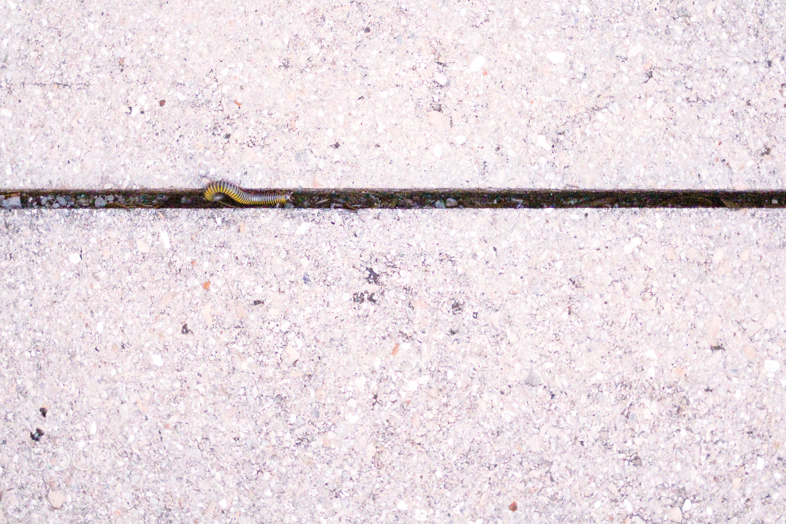 Canon EF 35mm F2 IS USM sample photo. Sidewalk stroll photography
