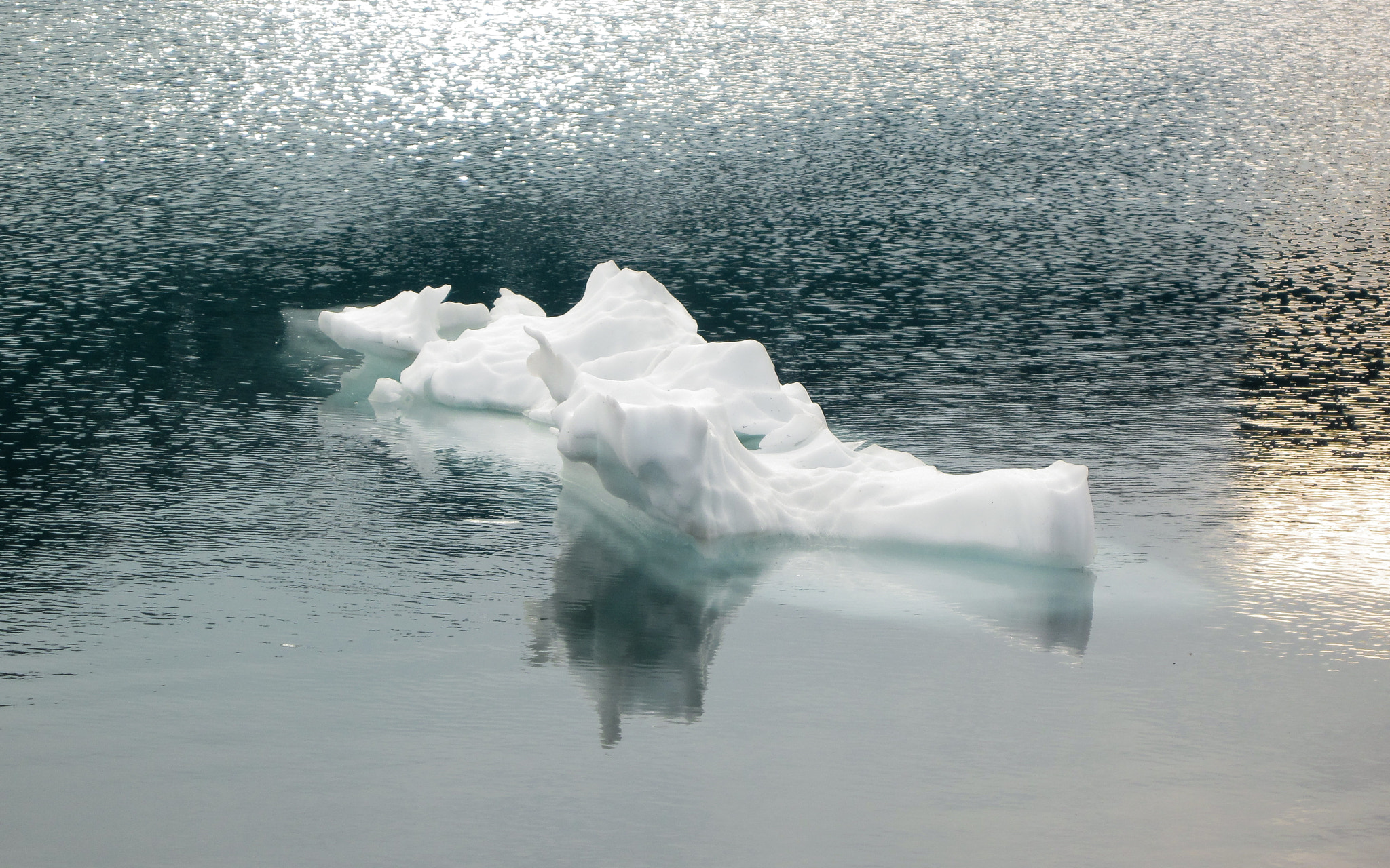 Canon PowerShot SD990 IS (Digital IXUS 980 IS / IXY Digital 3000 IS) sample photo. Iceberg, right ahead! photography