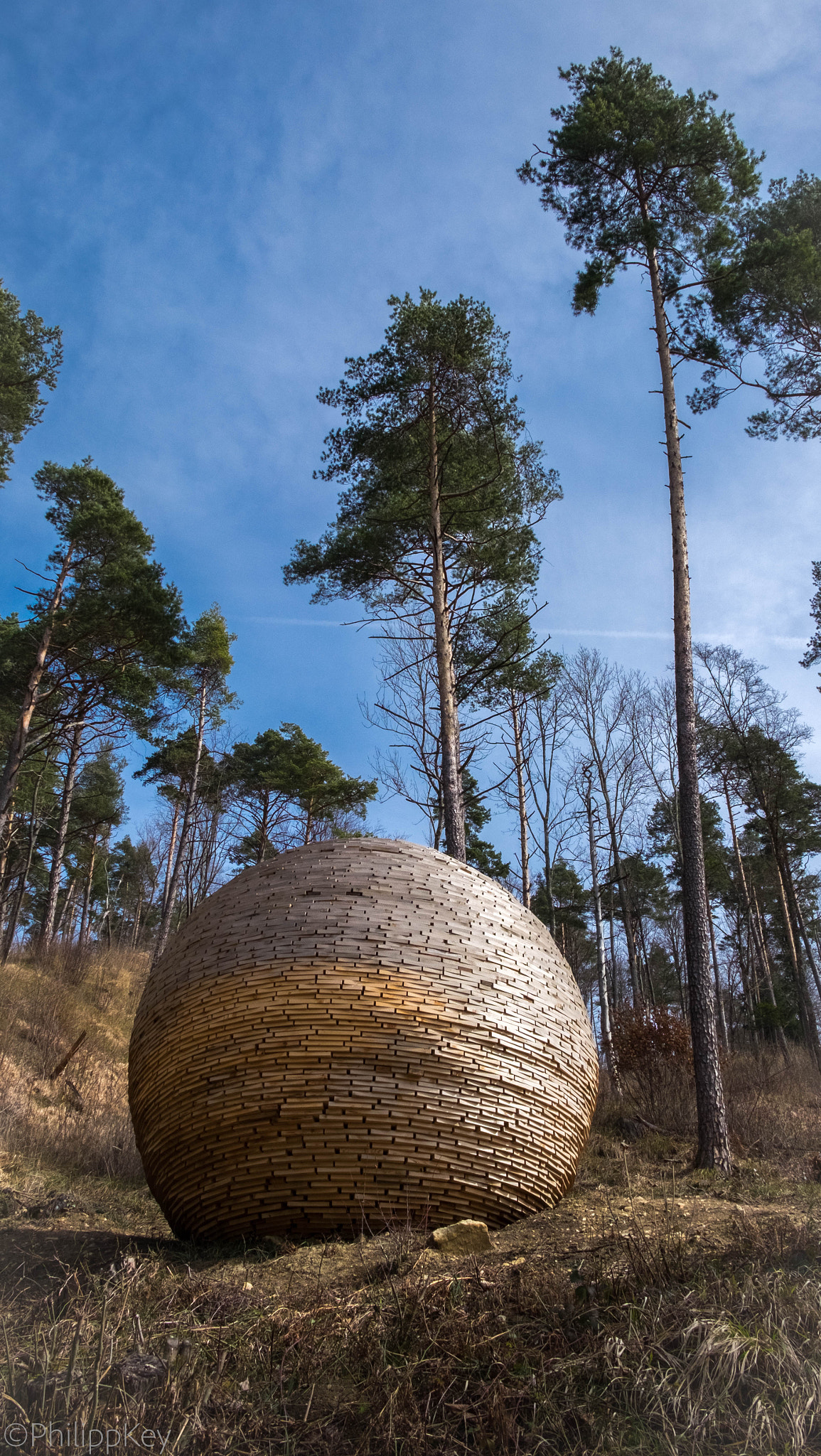 Fujifilm X-E2 + Fujifilm XF 18-55mm F2.8-4 R LM OIS sample photo. Ball in the forest photography