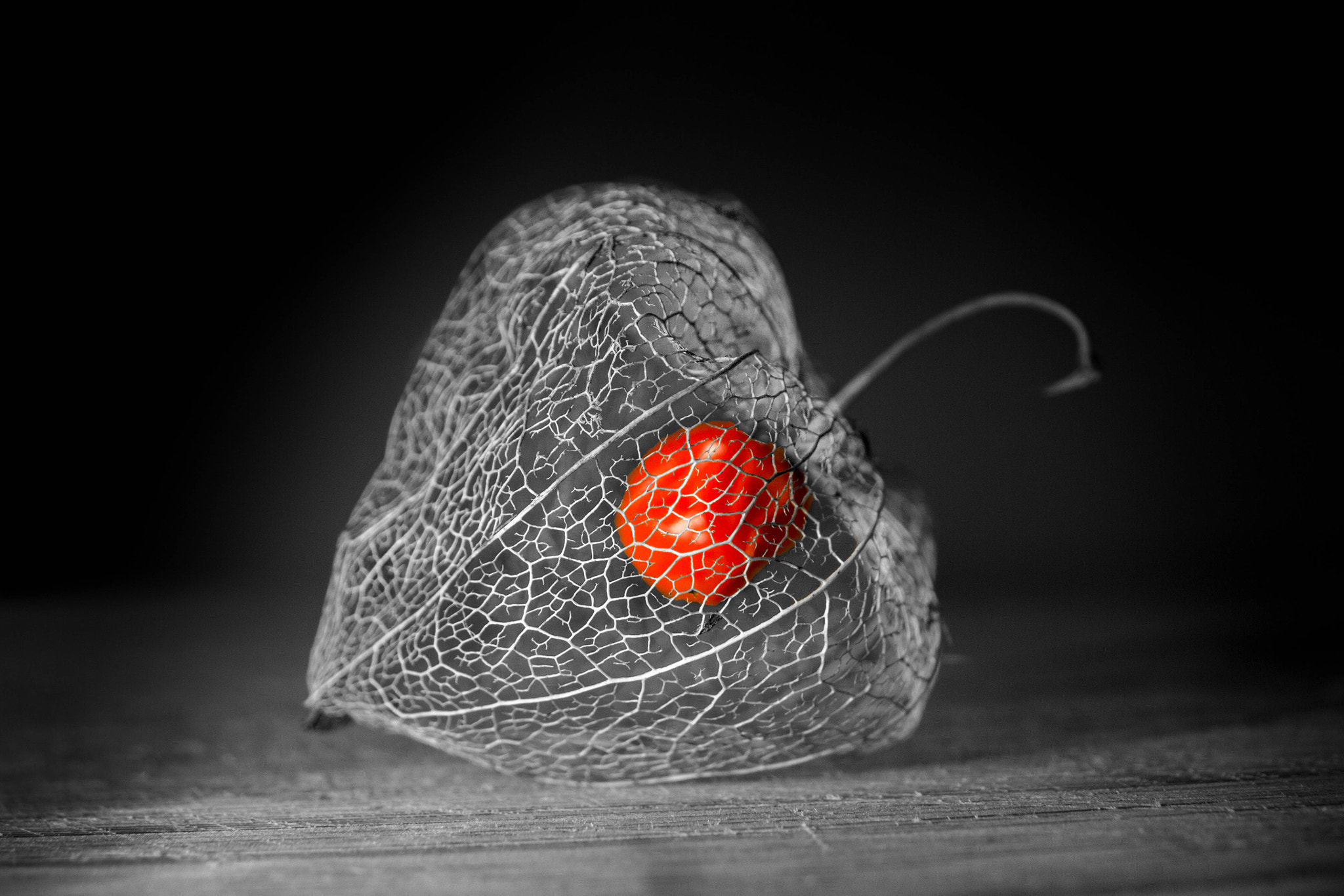 Canon EOS 60D sample photo. Coeur a vif  photography