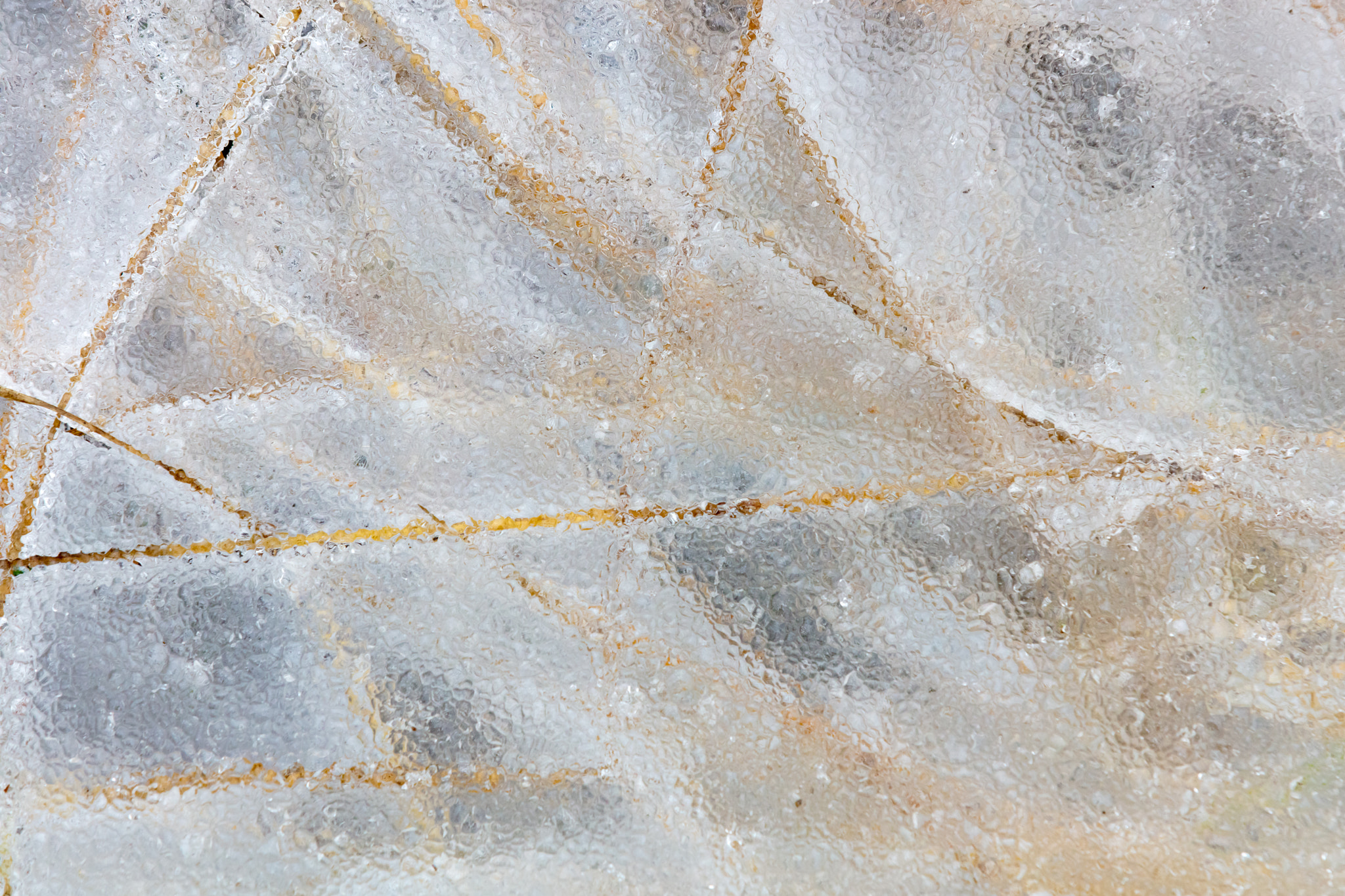 Canon EOS 5DS sample photo. Under ice photography