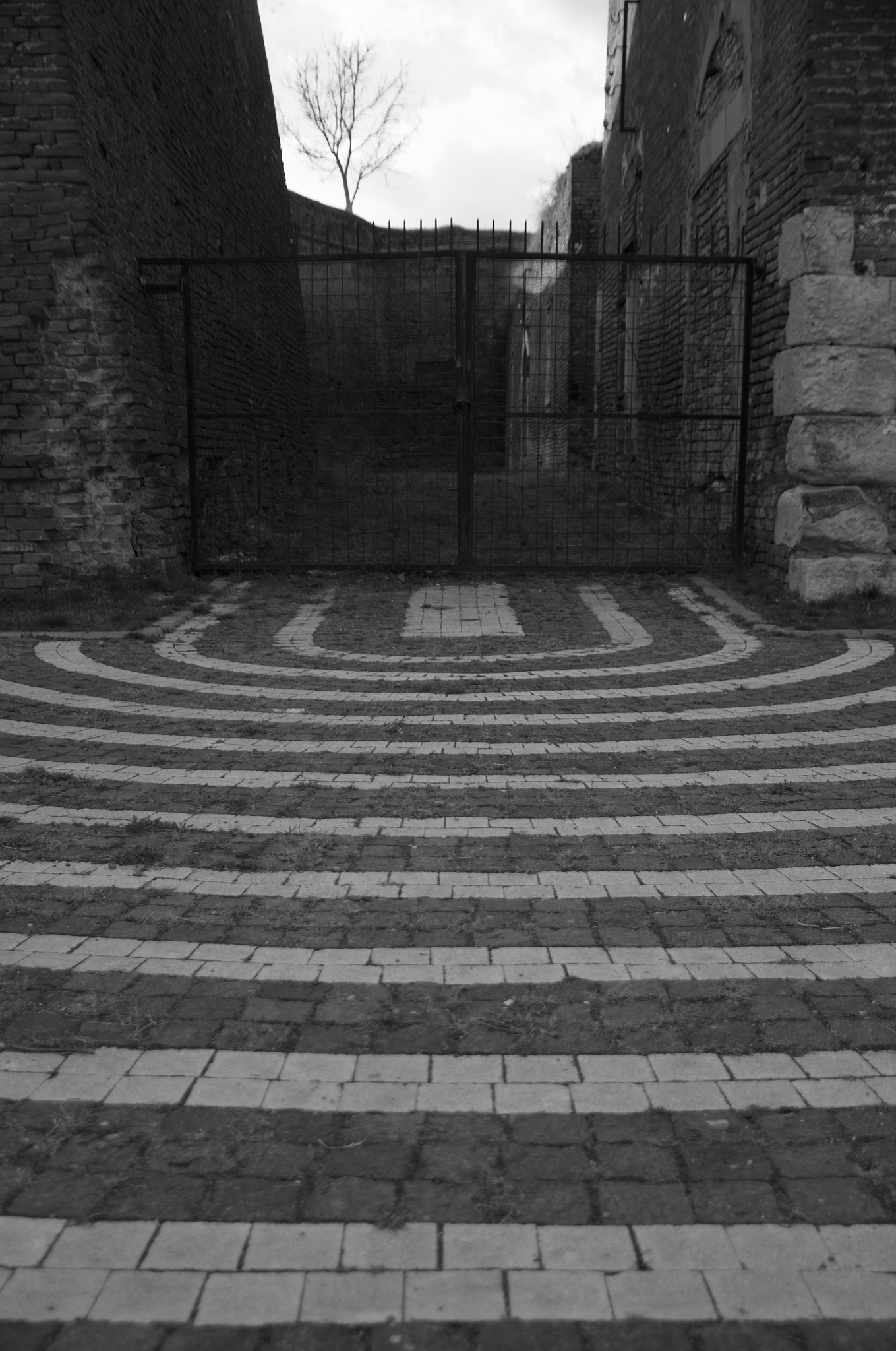Sigma 17-70mm F2.8-4 DC Macro OS HSM sample photo. Alba iulia photography