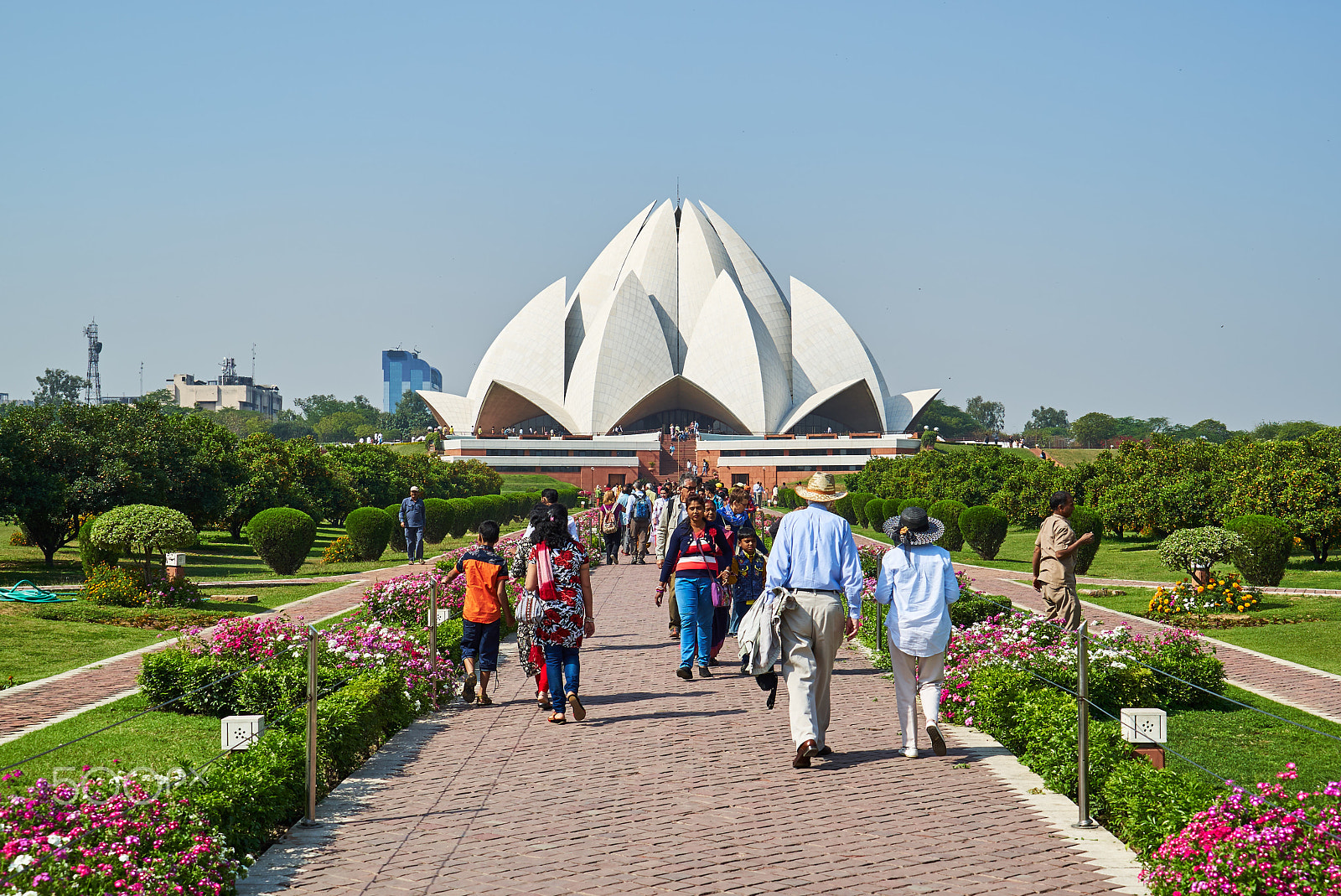 Sony a7S II + Sony FE 24-240mm F3.5-6.3 OSS sample photo. Lotus temple photography