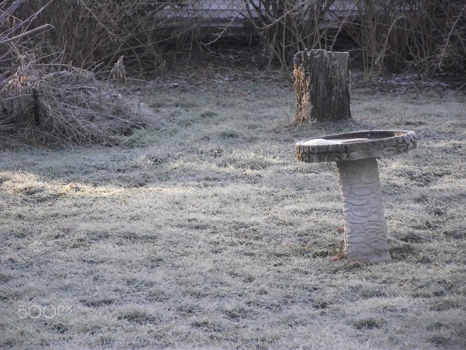 FujiFilm FinePix S1800 (FinePix S1880) sample photo. Frost at fall's end. photography