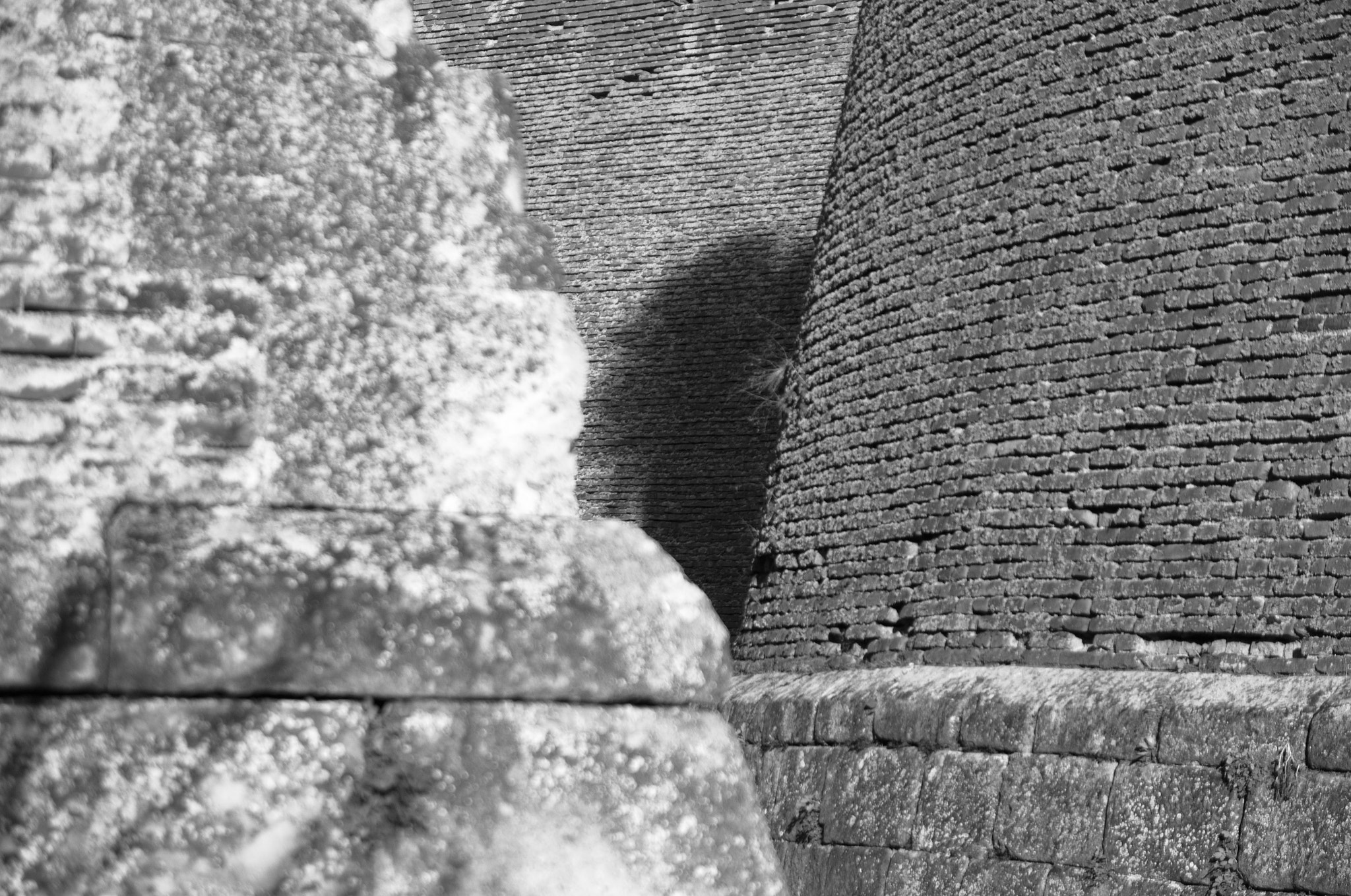 Sigma 17-70mm F2.8-4 DC Macro OS HSM sample photo. Alba iulia photography
