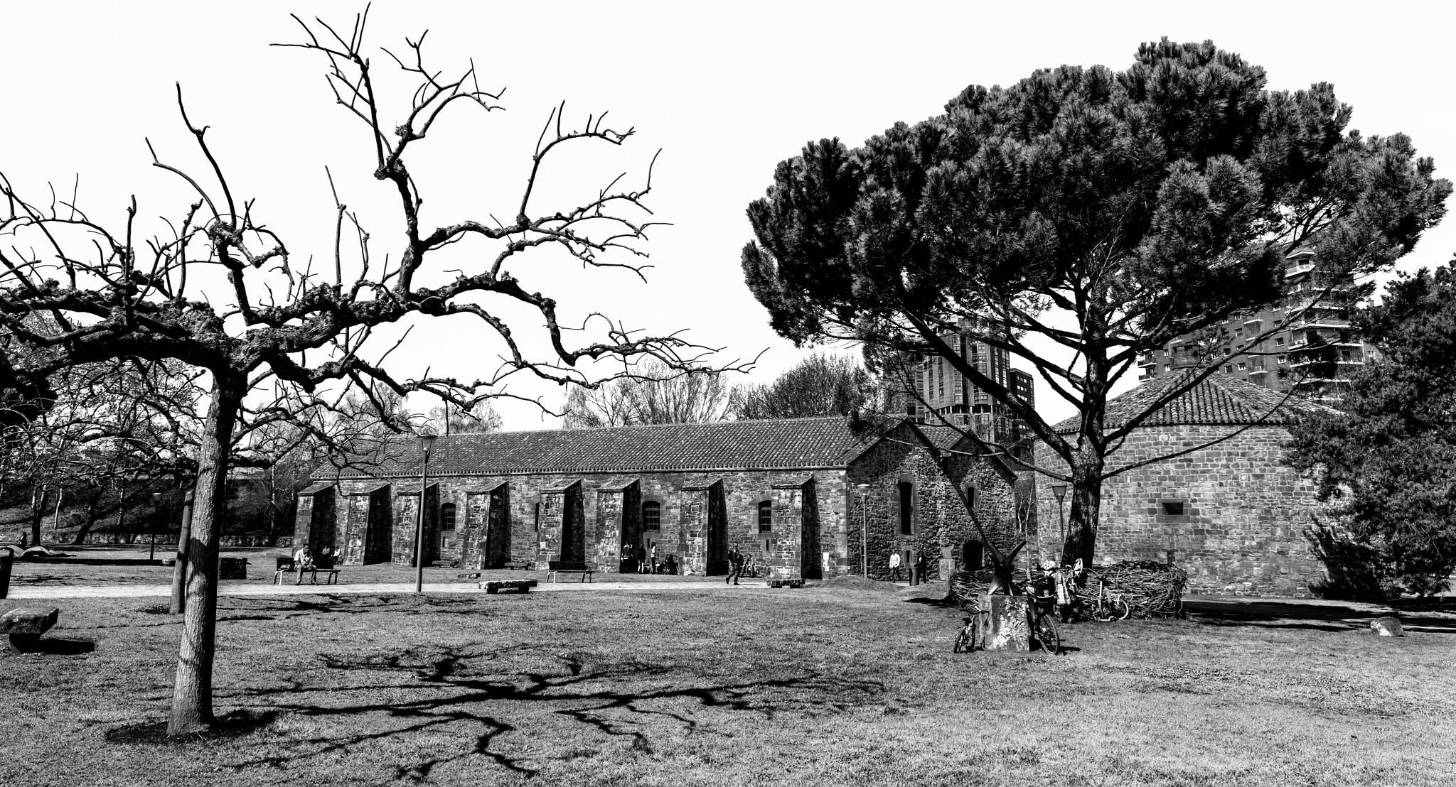 Canon EOS 5DS R + Canon EF 11-24mm F4L USM sample photo. La ciudadela pamplona b&w photography