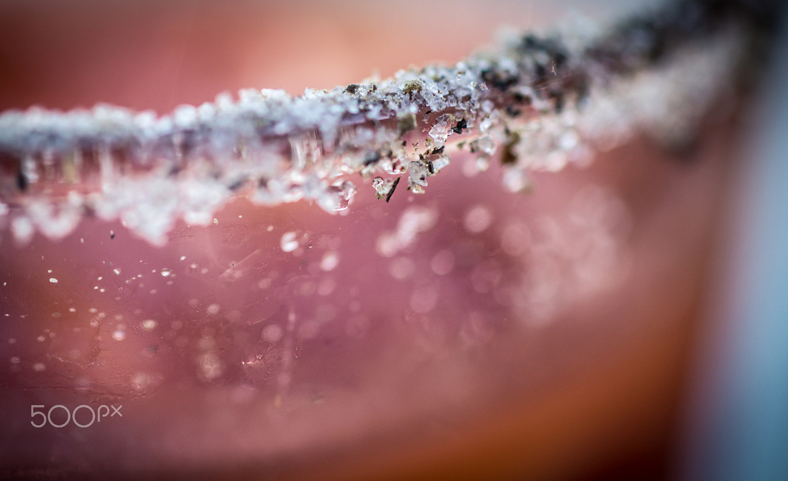 Nikon D610 + Sigma 50mm F2.8 EX DG Macro sample photo. Close up on a rimmed glass of bloody mary cocktail photography