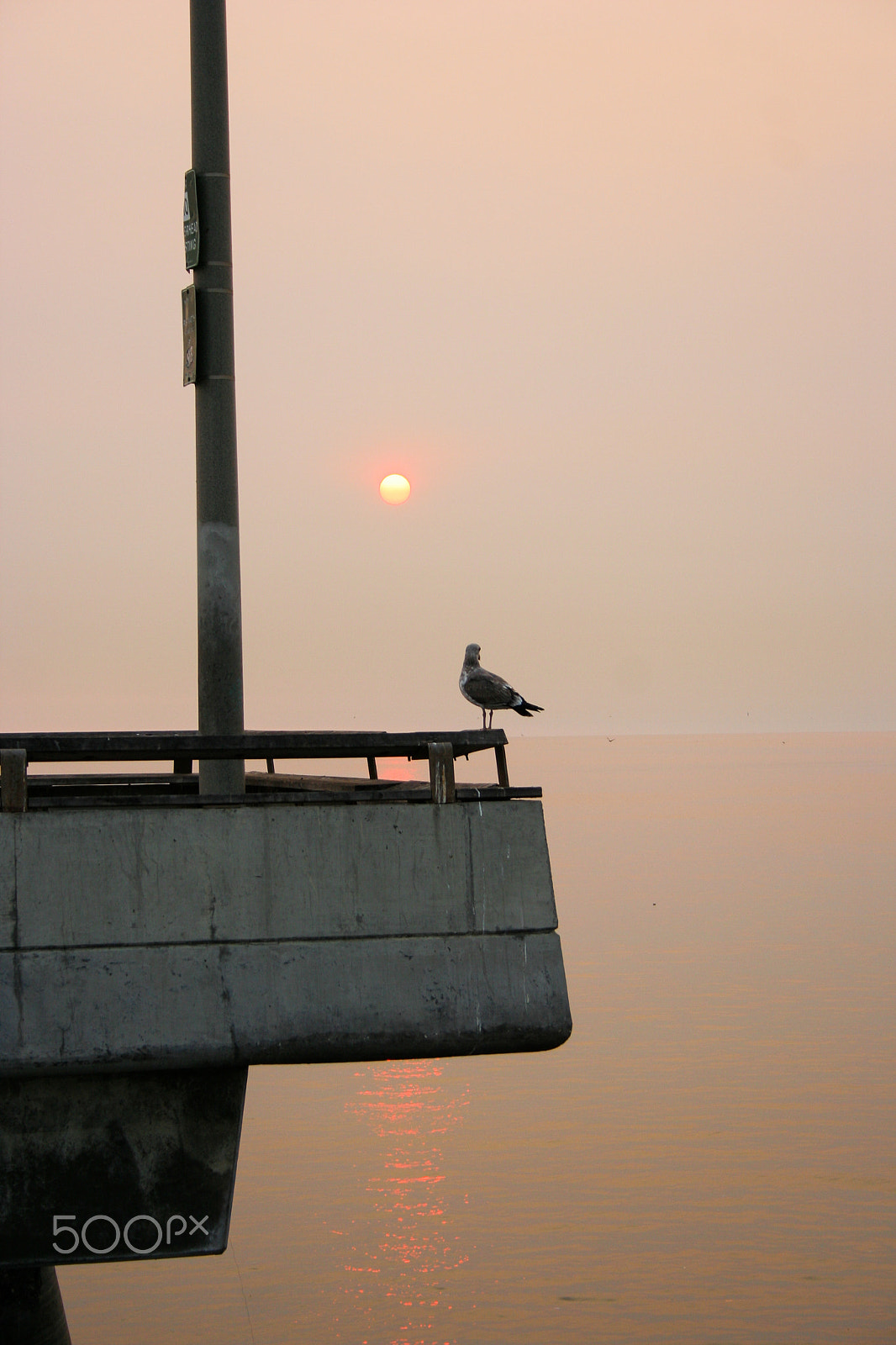 Canon EOS 350D (EOS Digital Rebel XT / EOS Kiss Digital N) sample photo. Sunset in santa monica photography