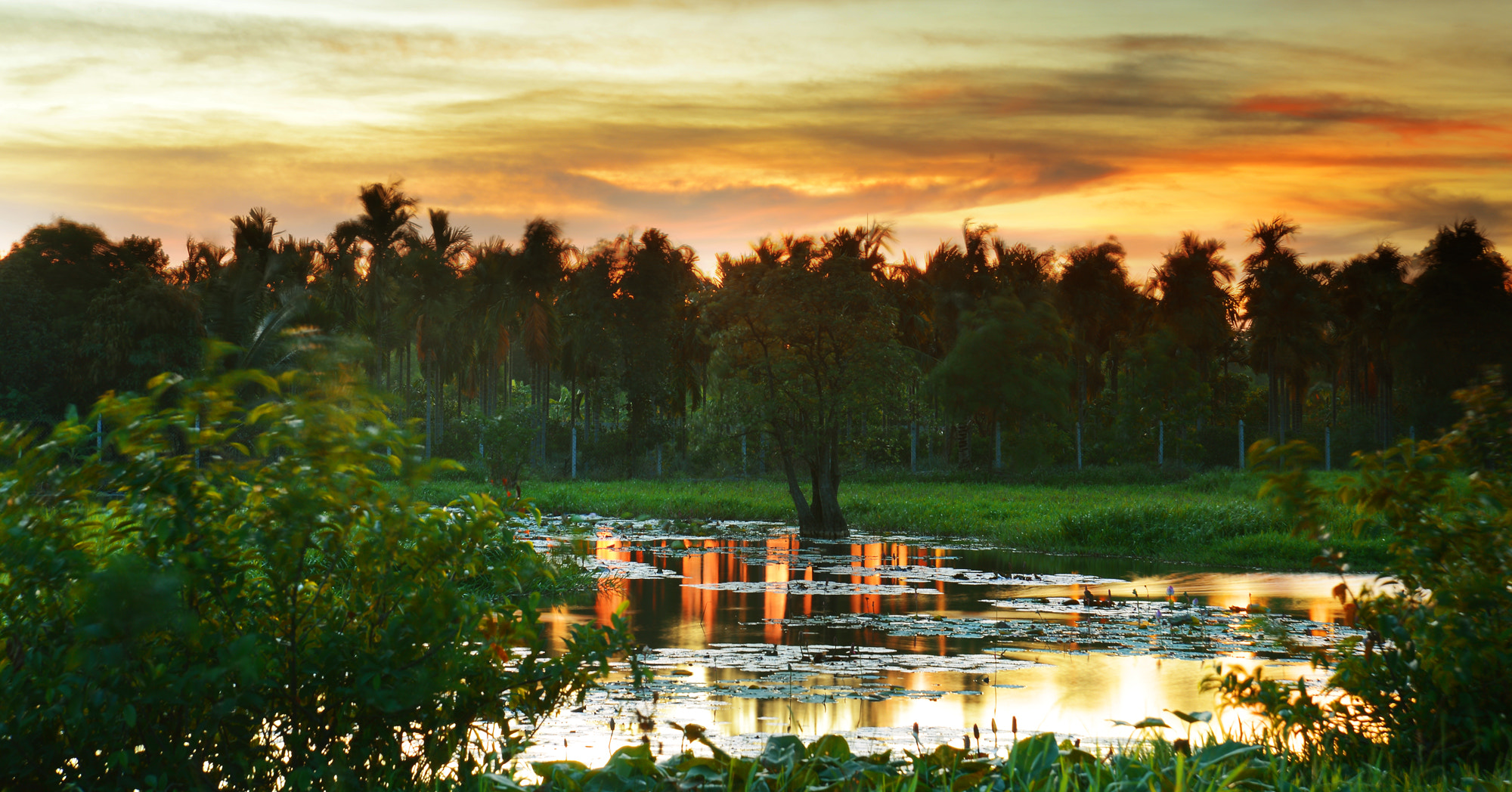 Nikon D600 sample photo. Countryside quiet photography