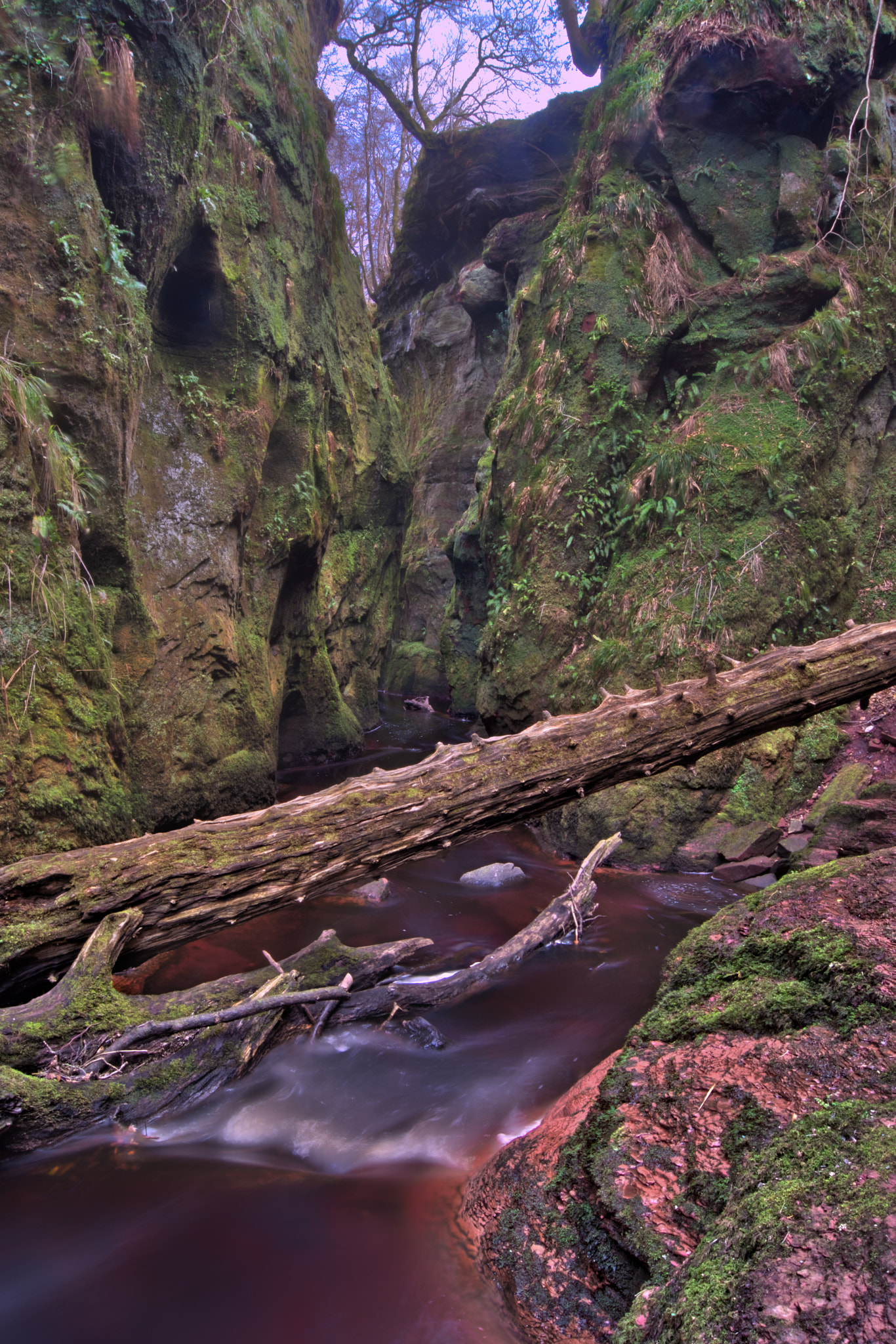 Sony SLT-A65 (SLT-A65V) + Sony DT 18-55mm F3.5-5.6 SAM sample photo. Fallen tree - devils pulpit photography