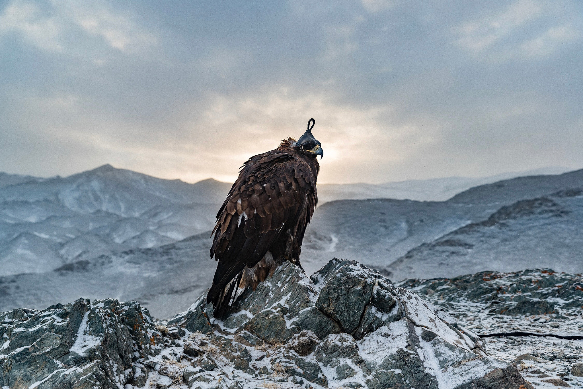 Canon EF 24-70mm F2.8L II USM sample photo. Every day on this trip seemed absolutely unreal. t ... photography
