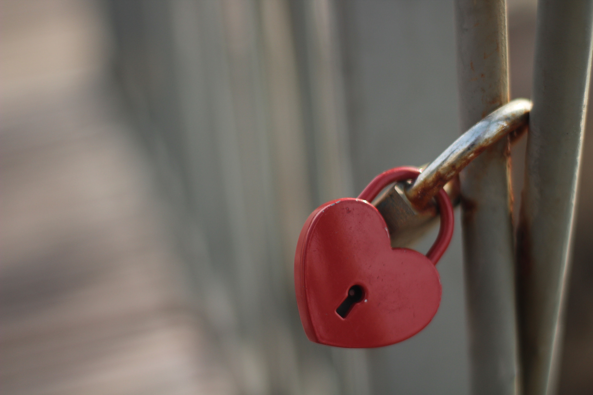 Canon 50mm sample photo. Hurt locker photography