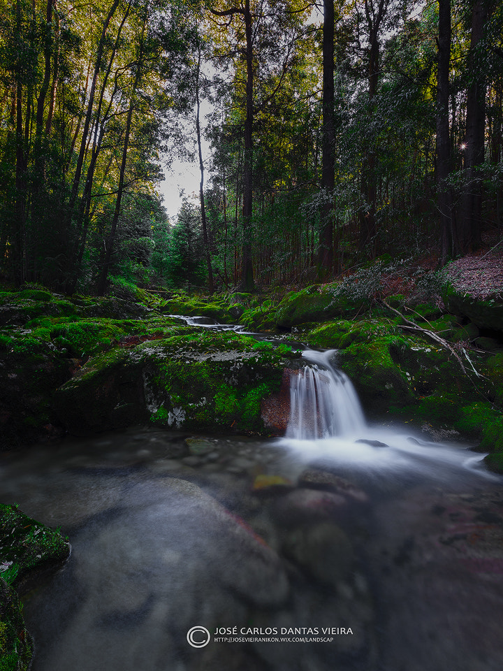 Nikon AF-S Nikkor 16-35mm F4G ED VR sample photo. Fairy land photography